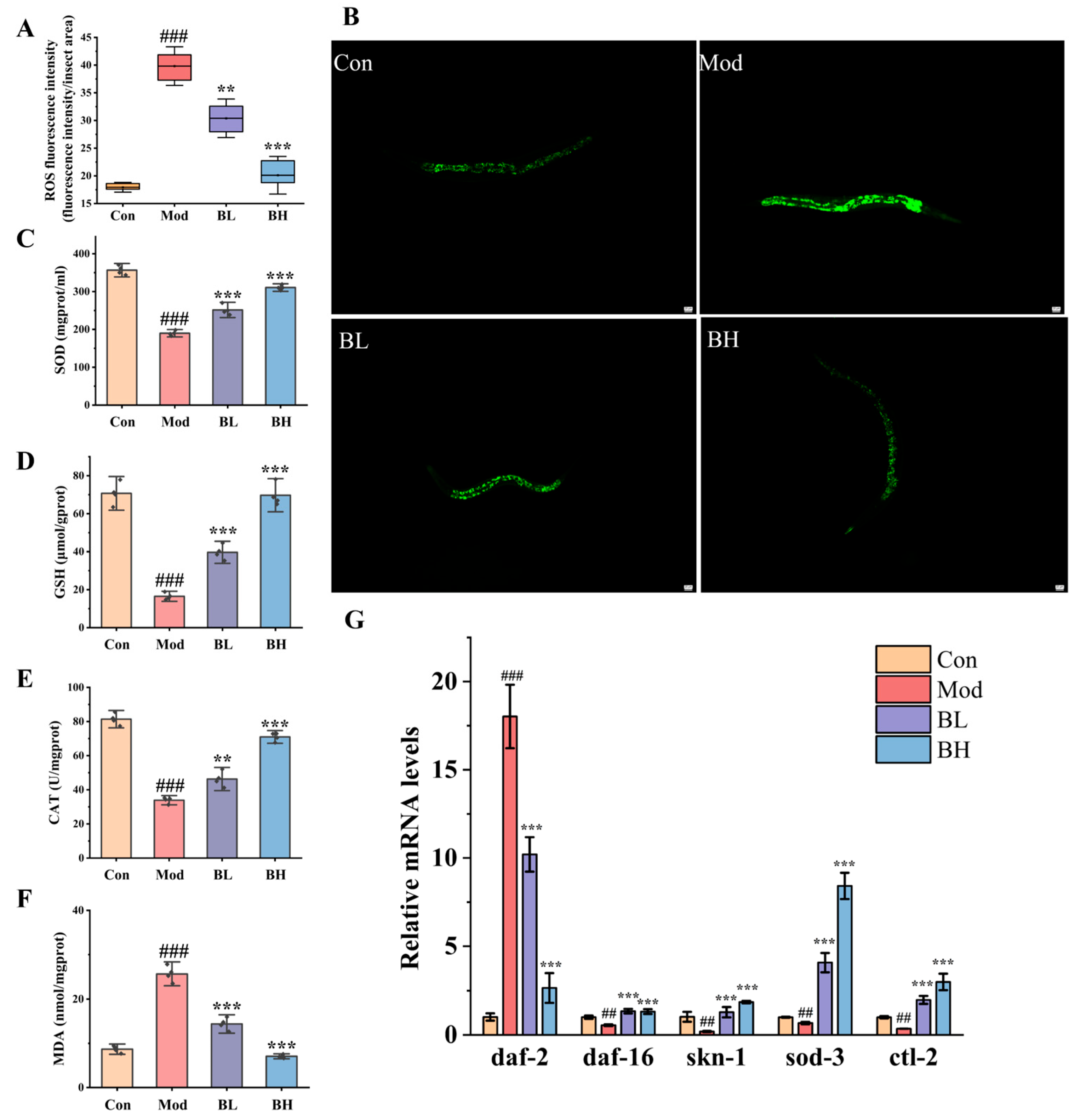Antioxidants 14 00117 g007