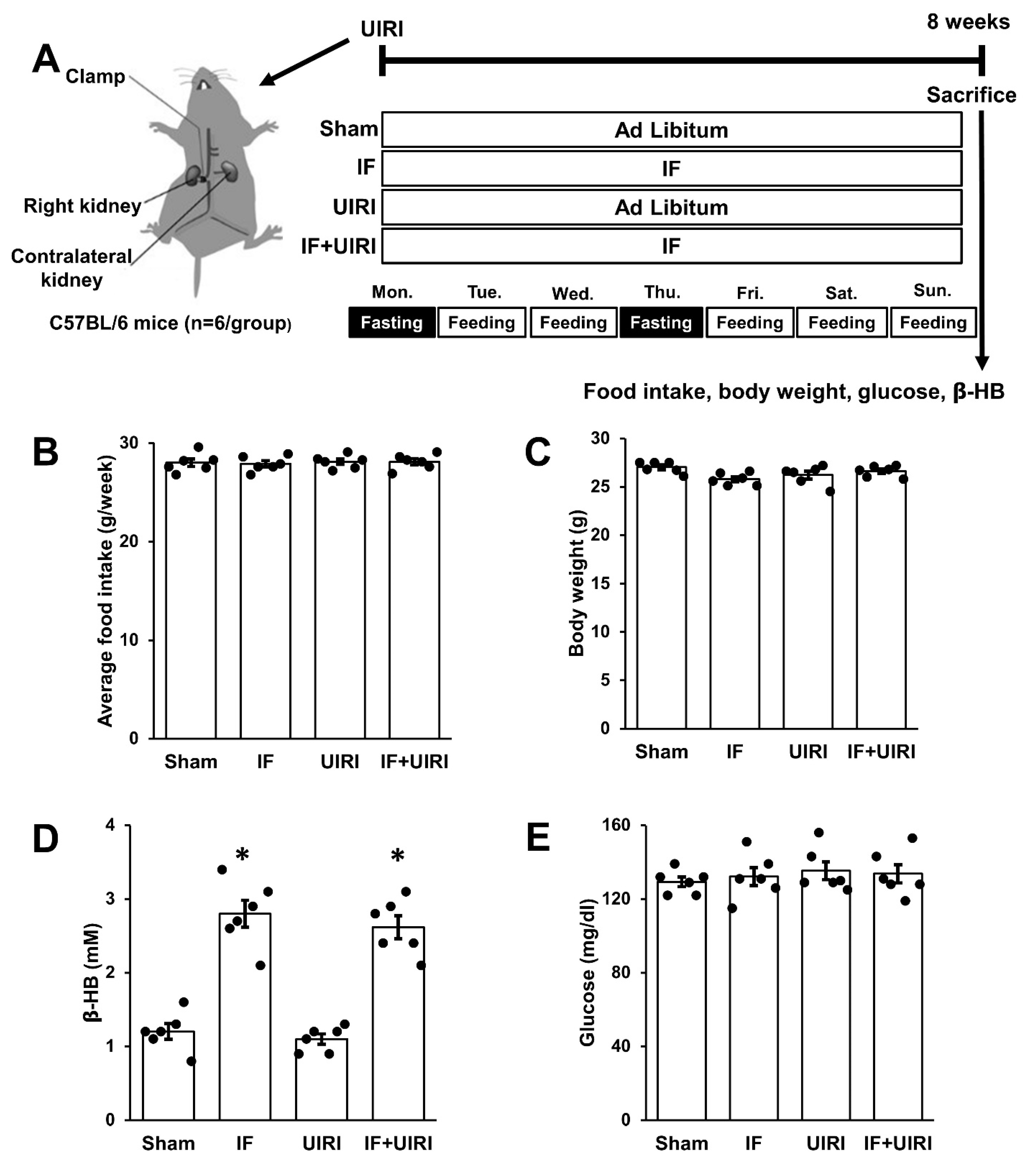 Antioxidants 14 00119 g001
