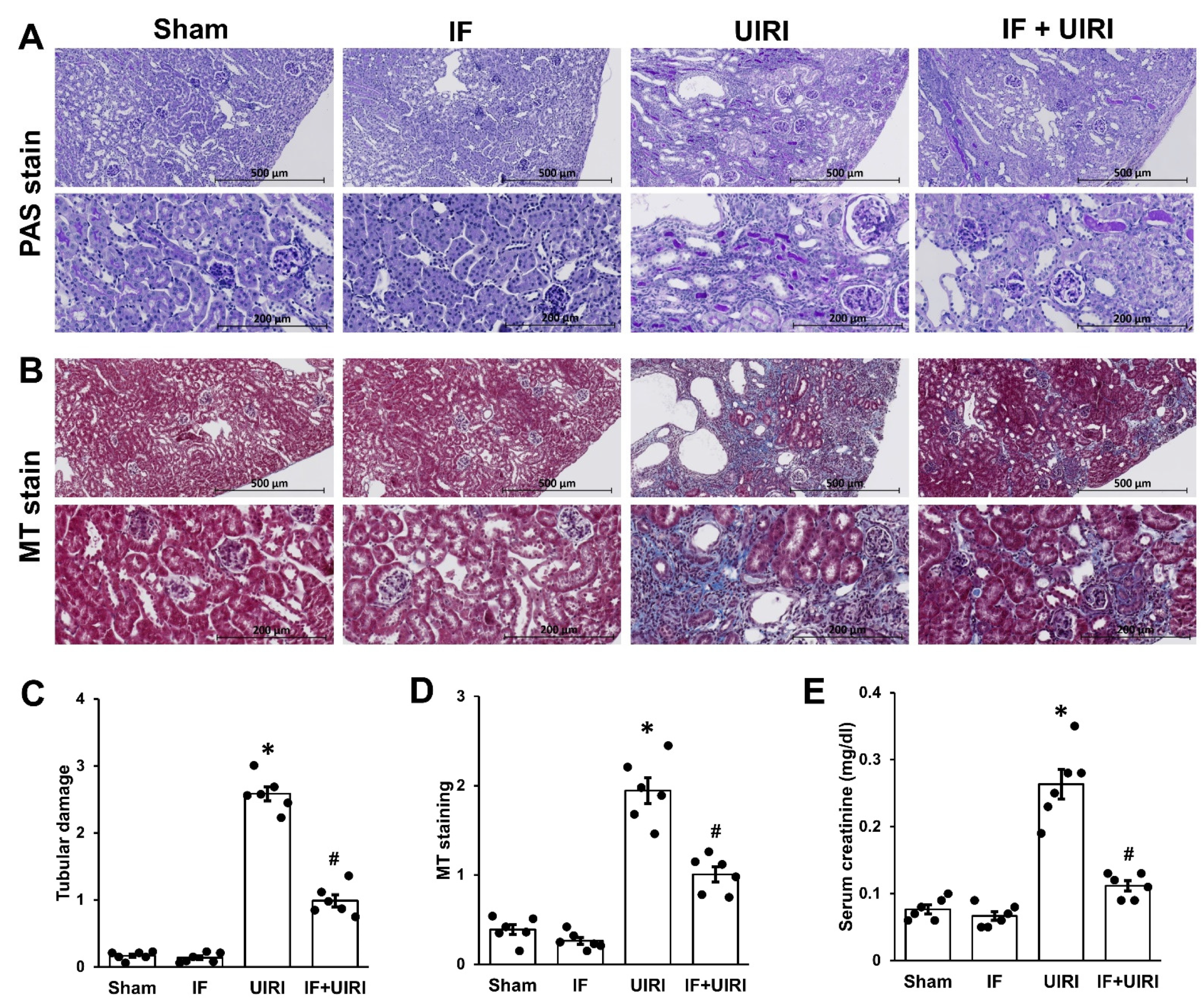Antioxidants 14 00119 g002