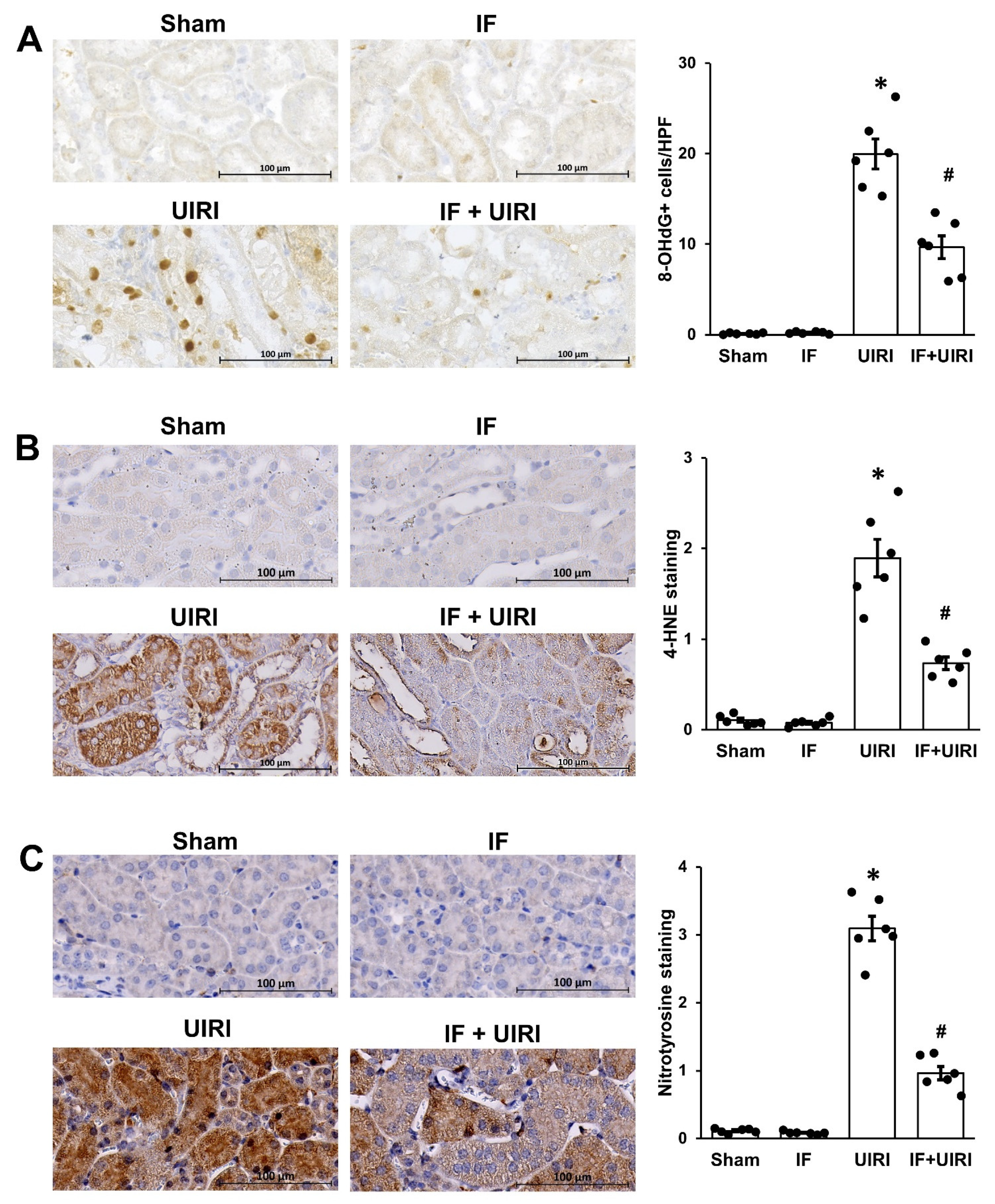 Antioxidants 14 00119 g005