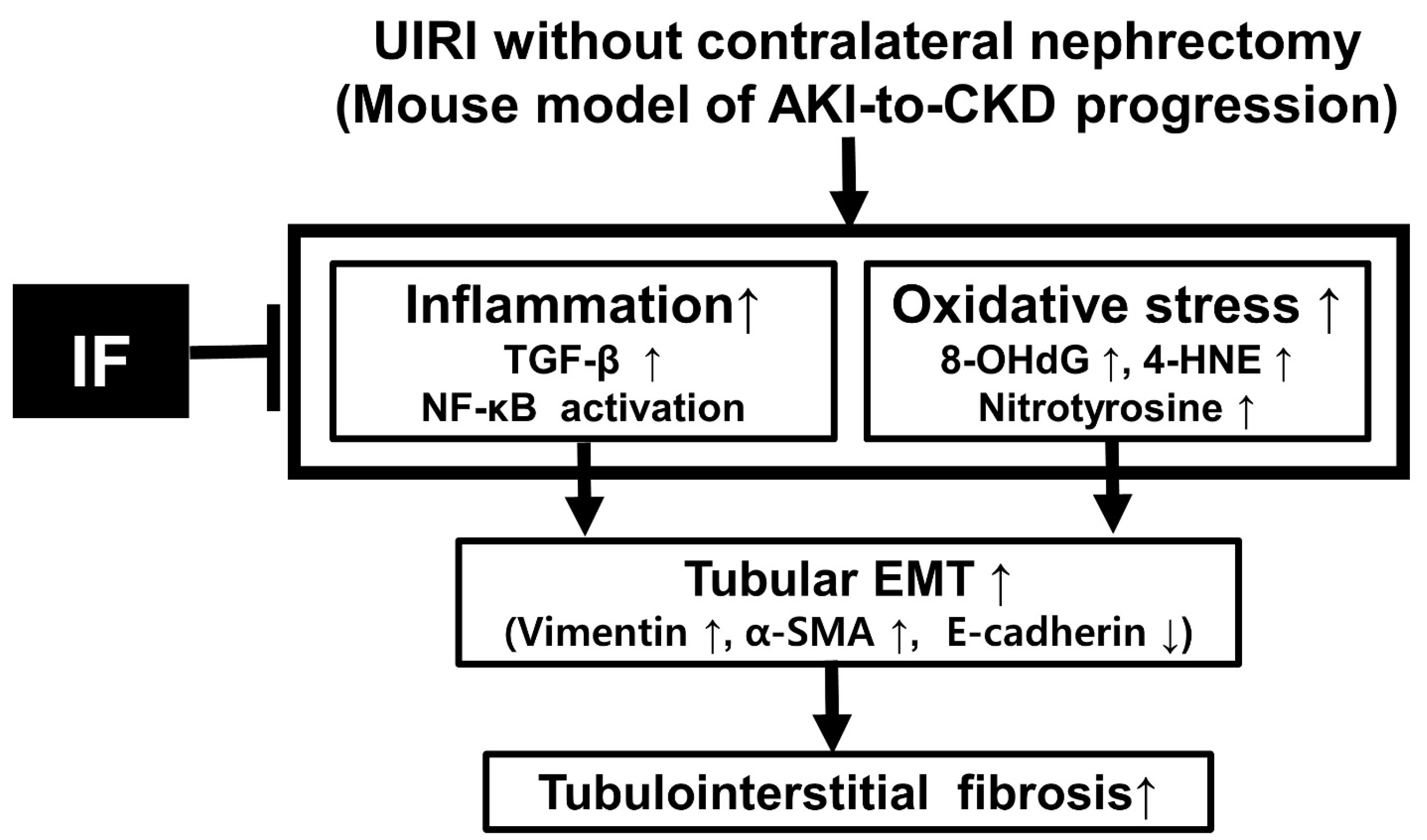 Antioxidants 14 00119 g006