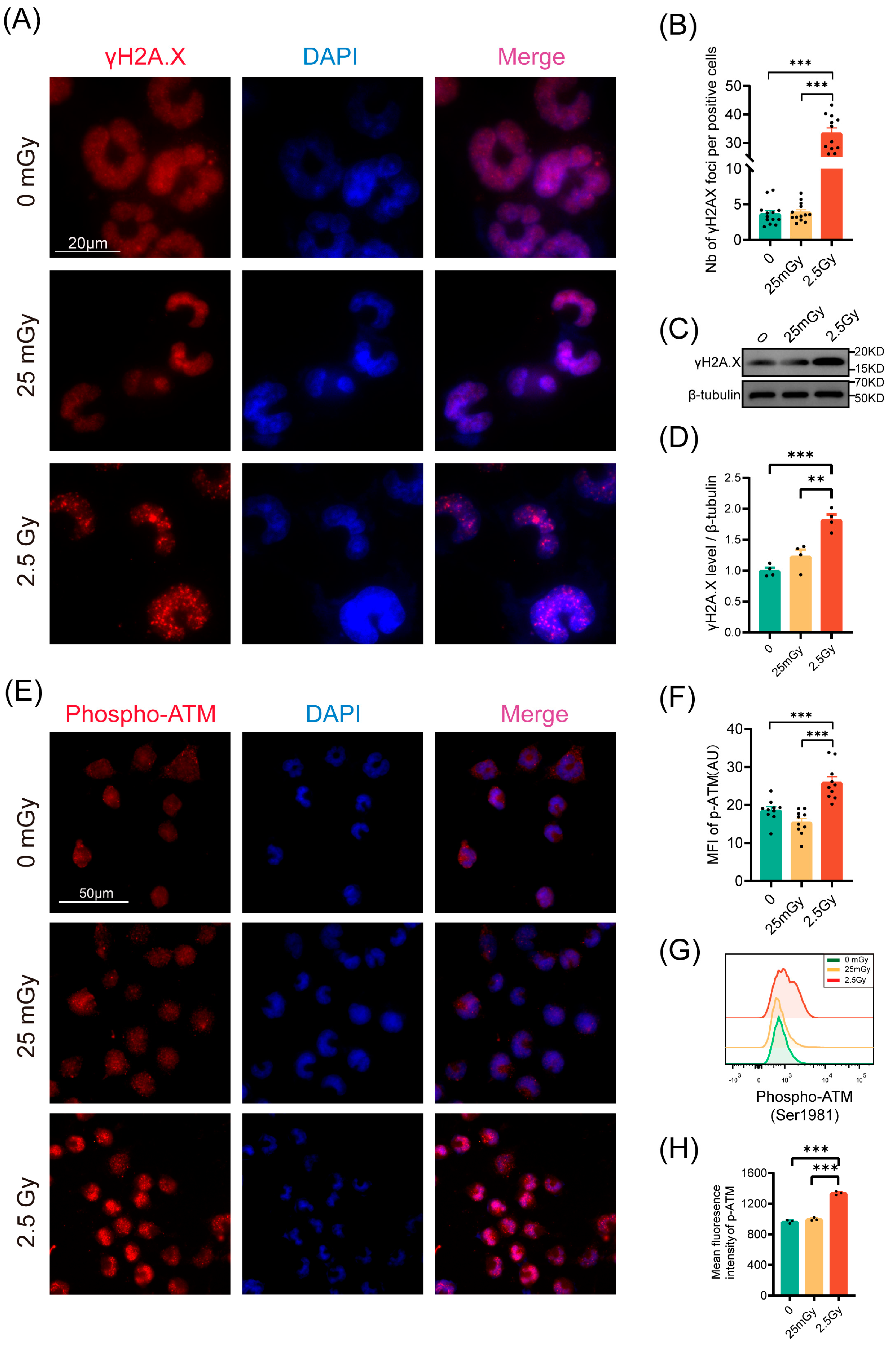 Antioxidants 14 00120 g004