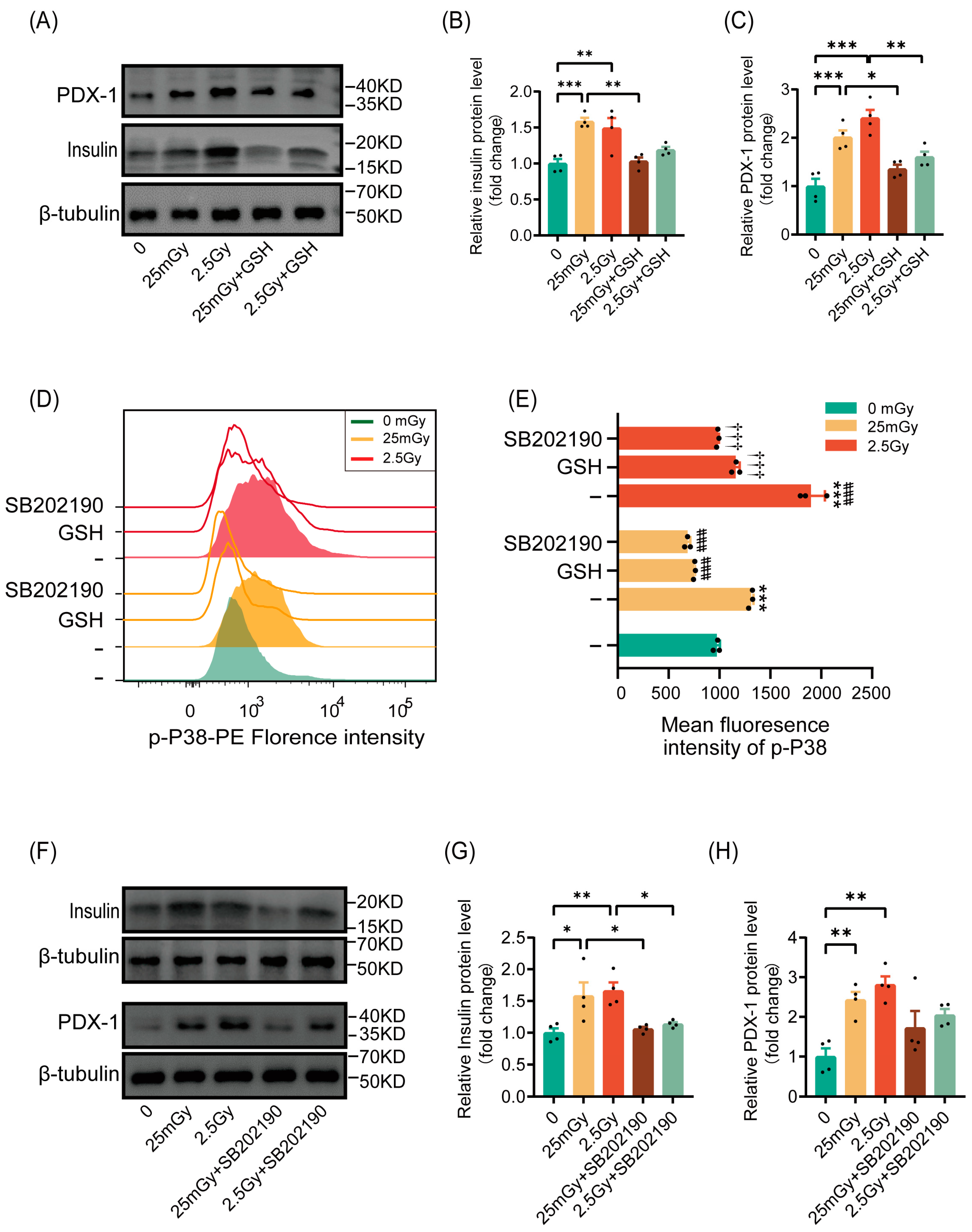 Antioxidants 14 00120 g006