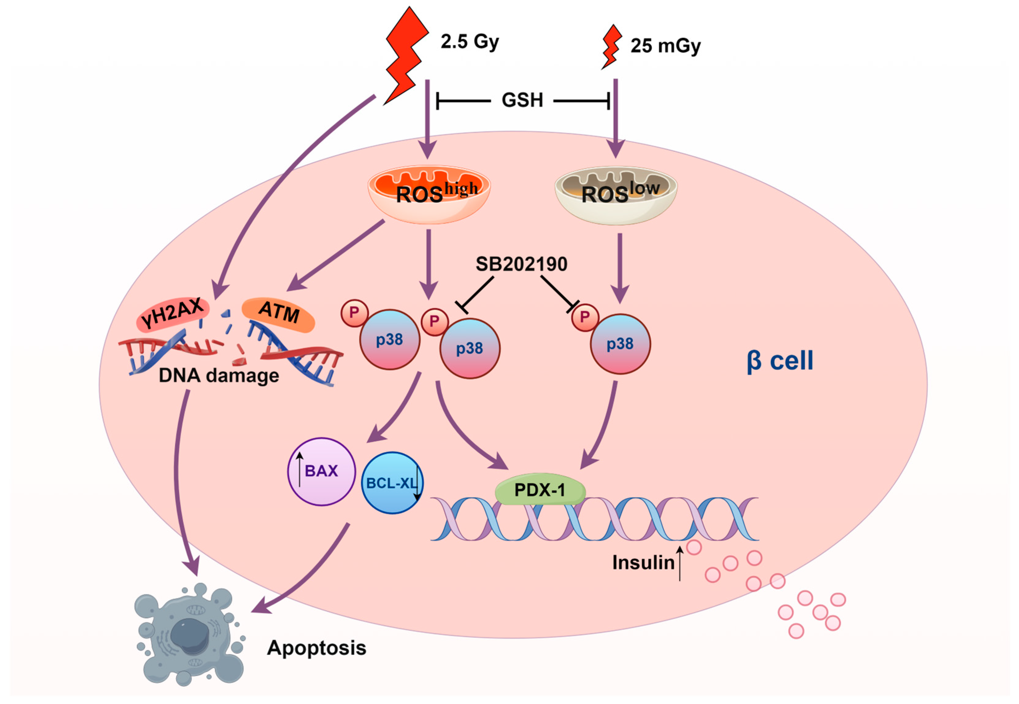 Antioxidants 14 00120 g008