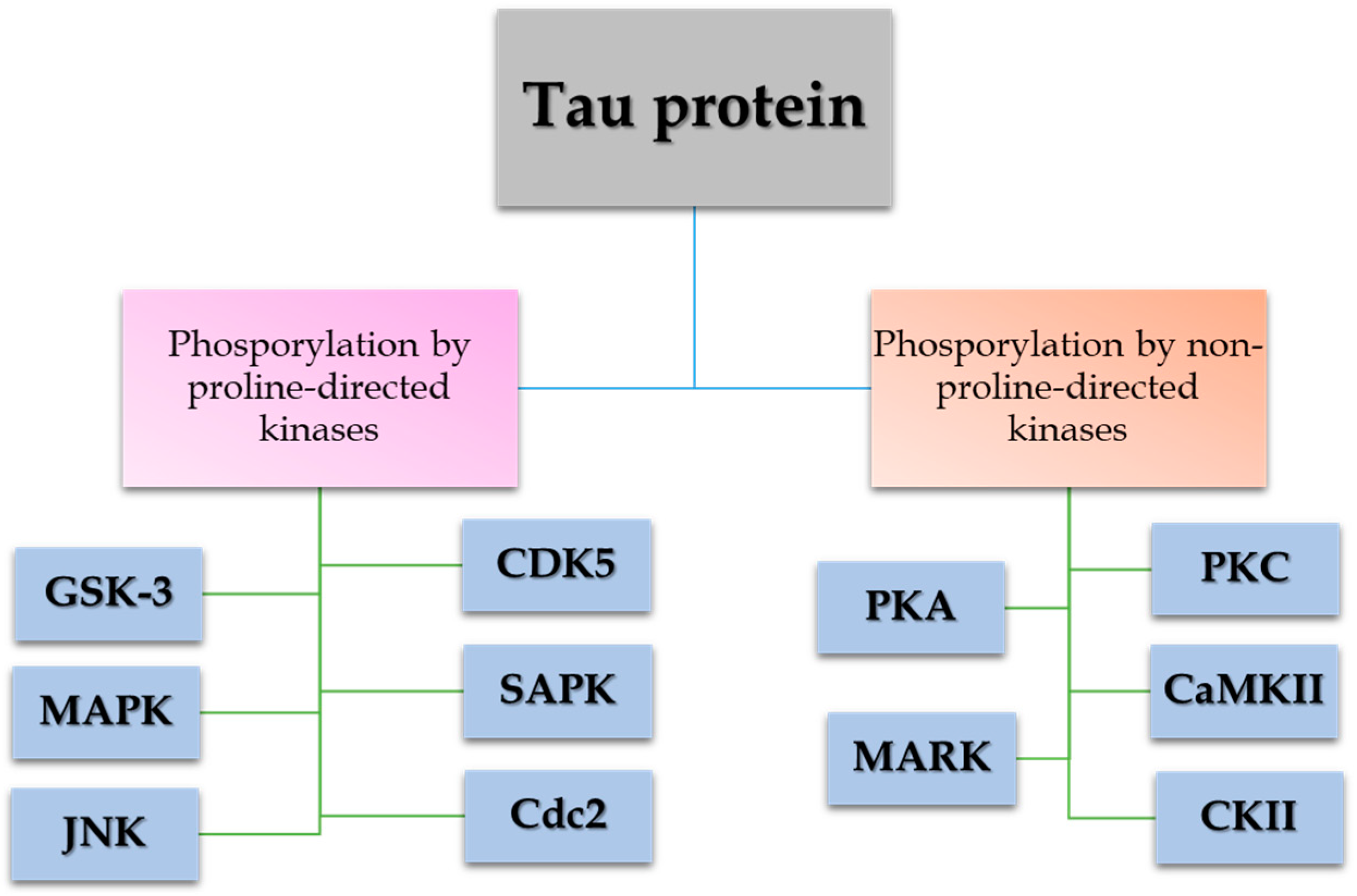 Antioxidants 14 00121 g001