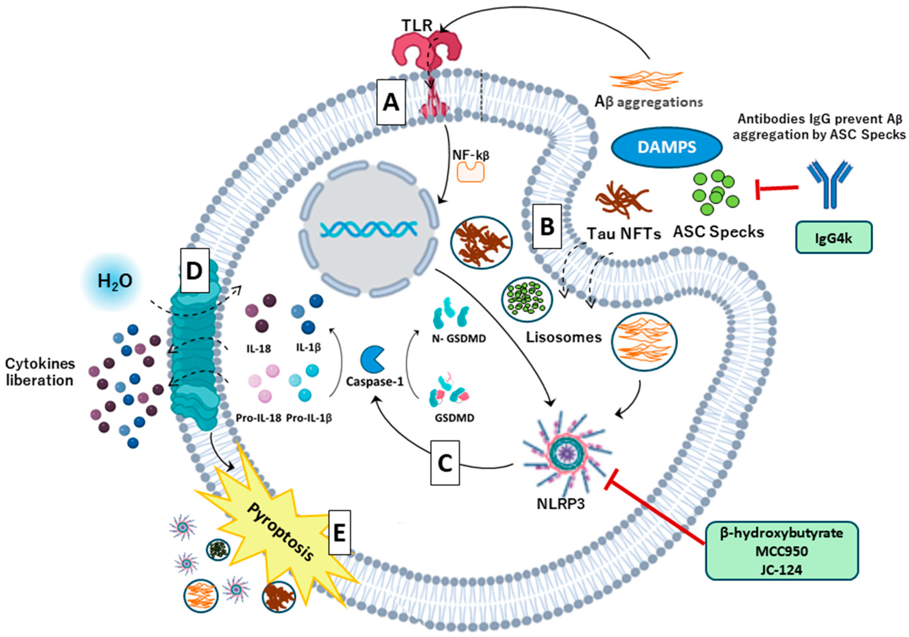 Antioxidants 14 00121 g003