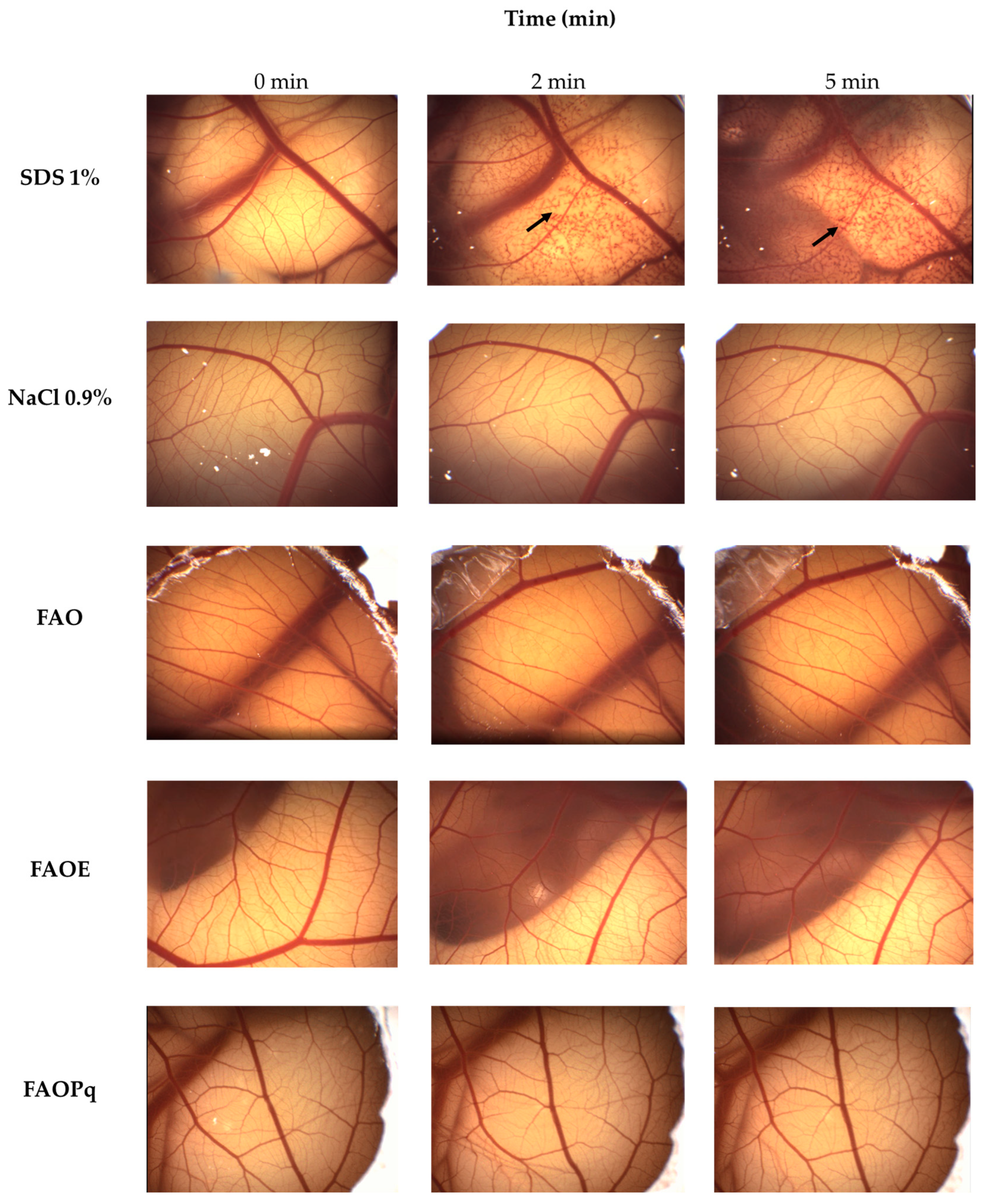 Antioxidants 14 00122 g003