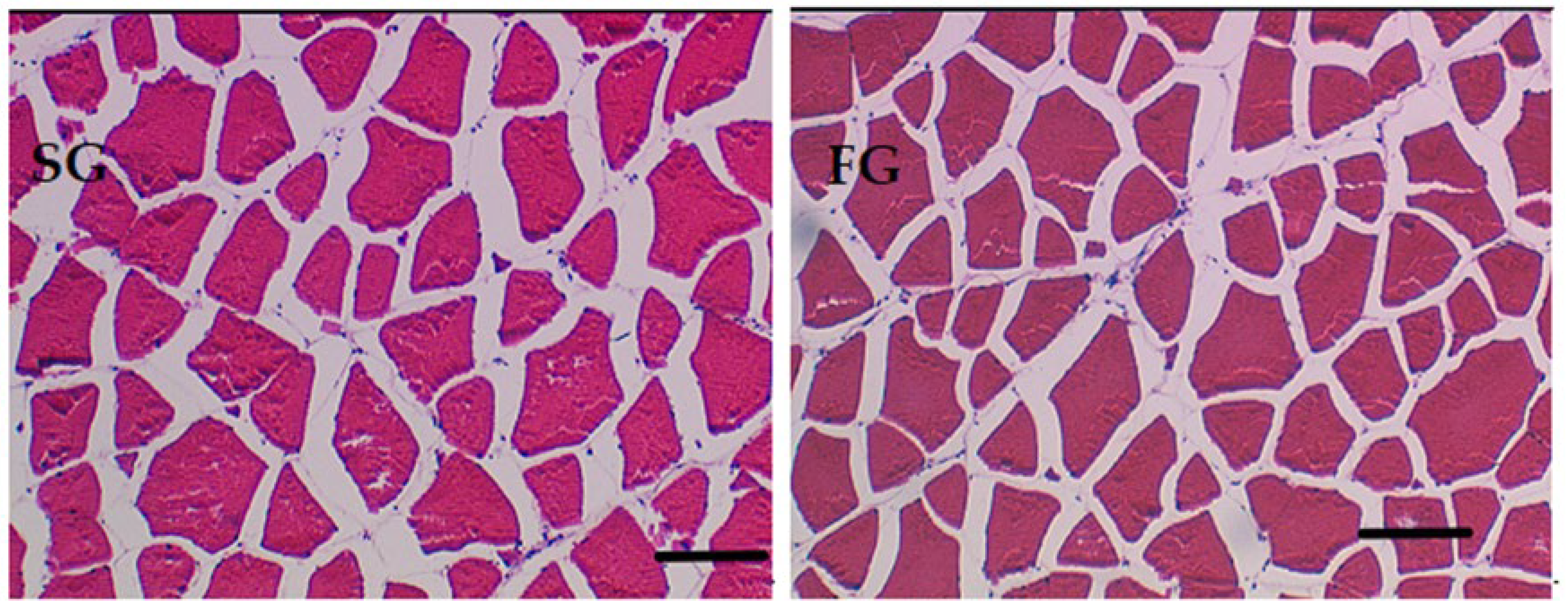 Antioxidants 14 00124 g003