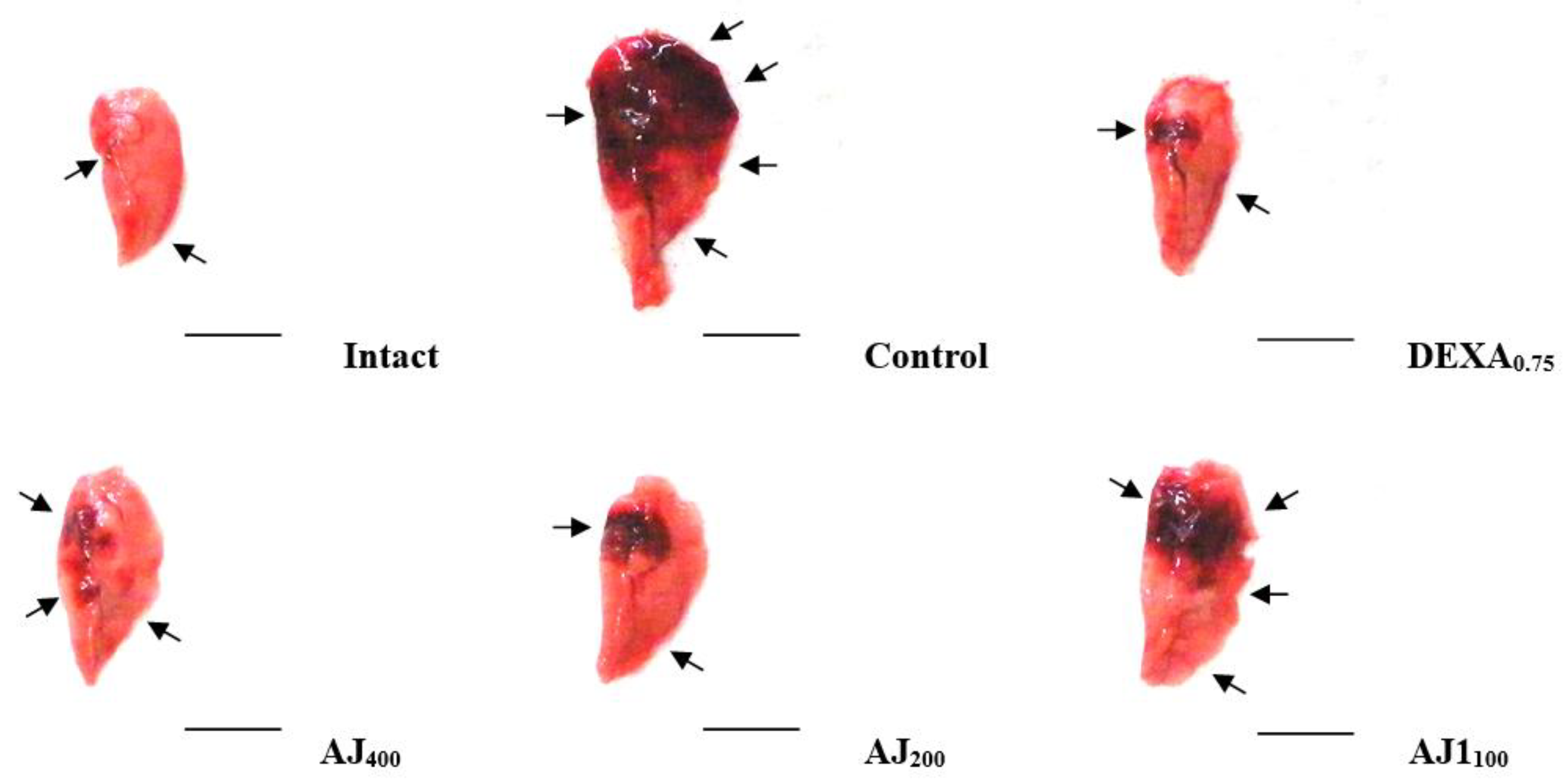 Antioxidants 14 00127 g003
