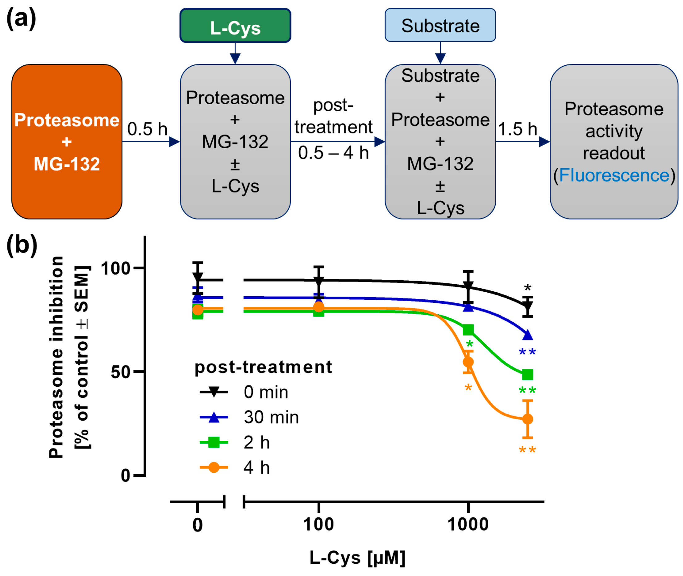Antioxidants 14 00128 g007