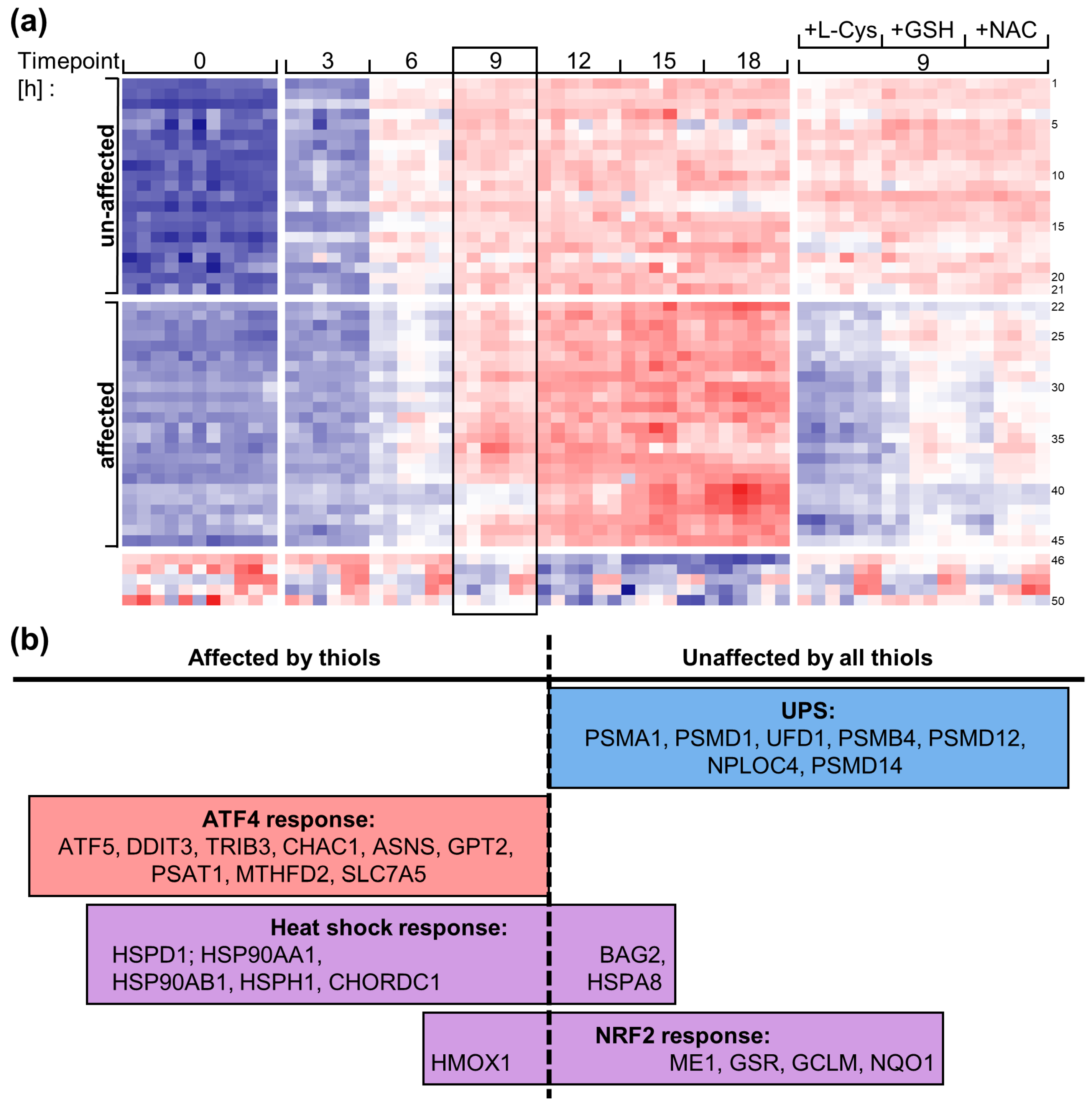 Antioxidants 14 00128 g008