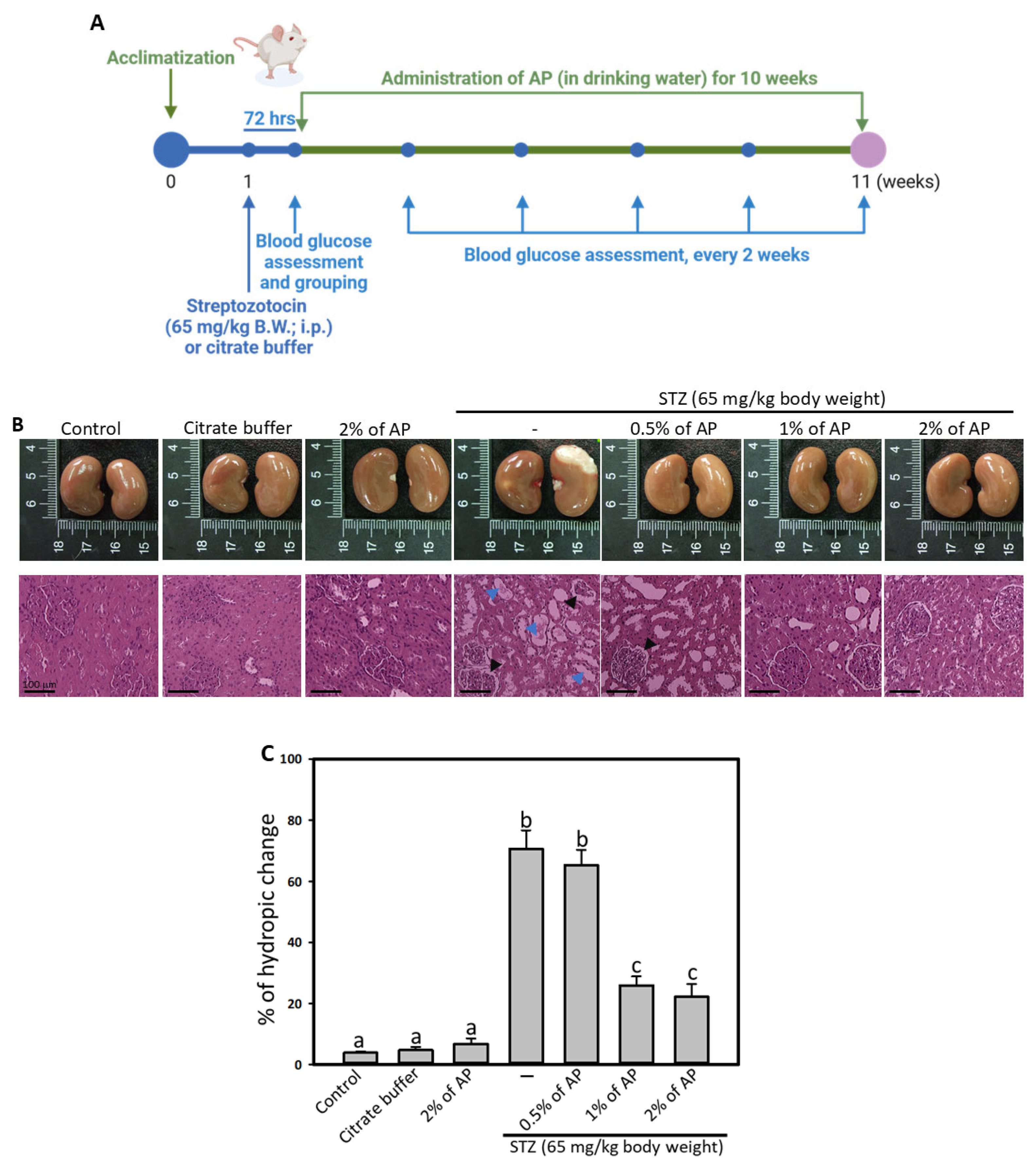 Antioxidants 14 00130 g001