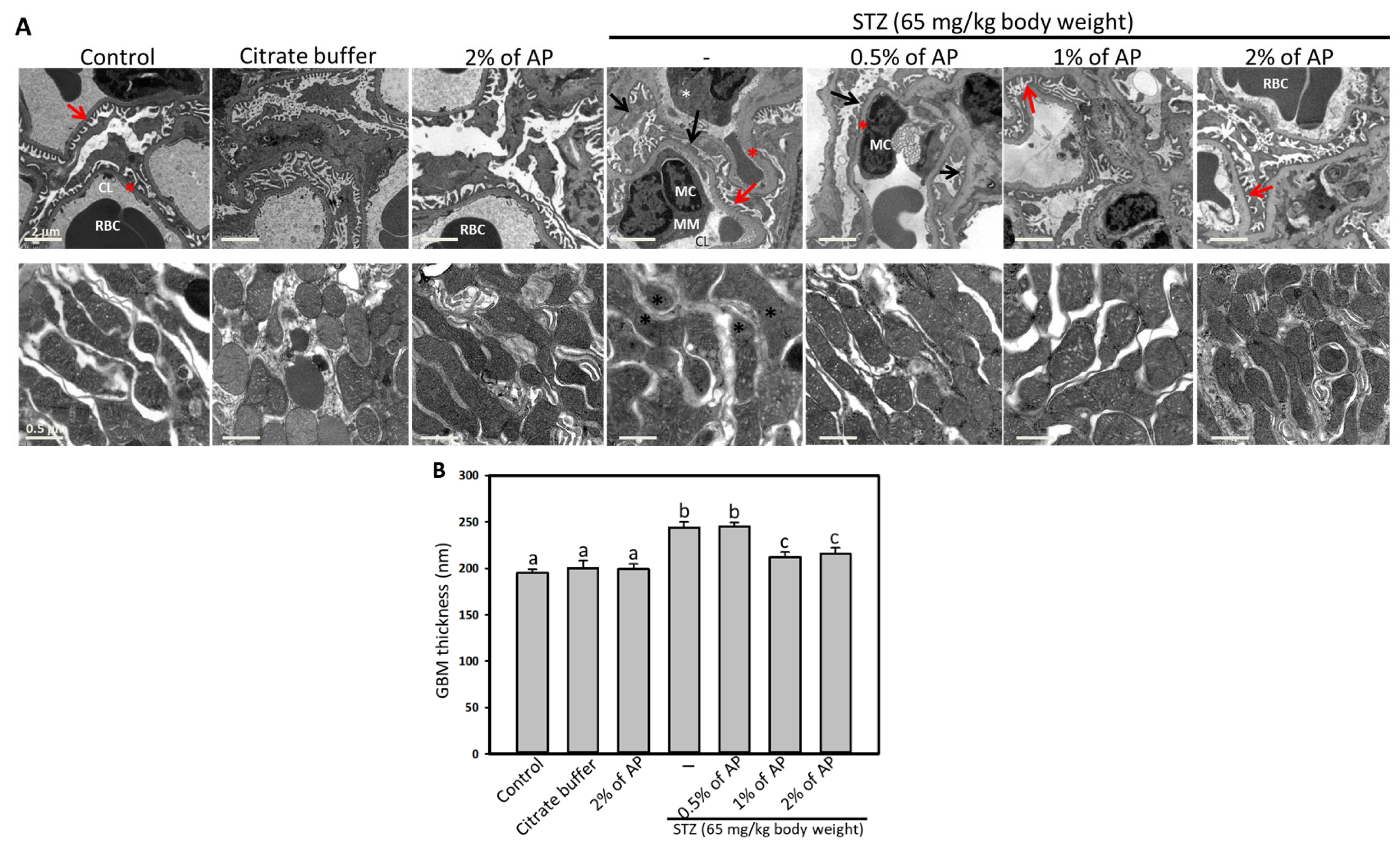 Antioxidants 14 00130 g002