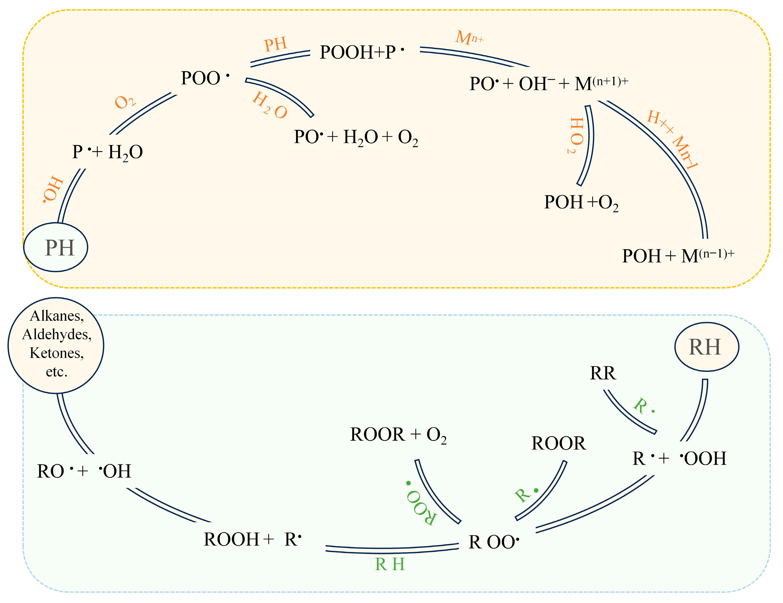 Antioxidants 14 00138 g001