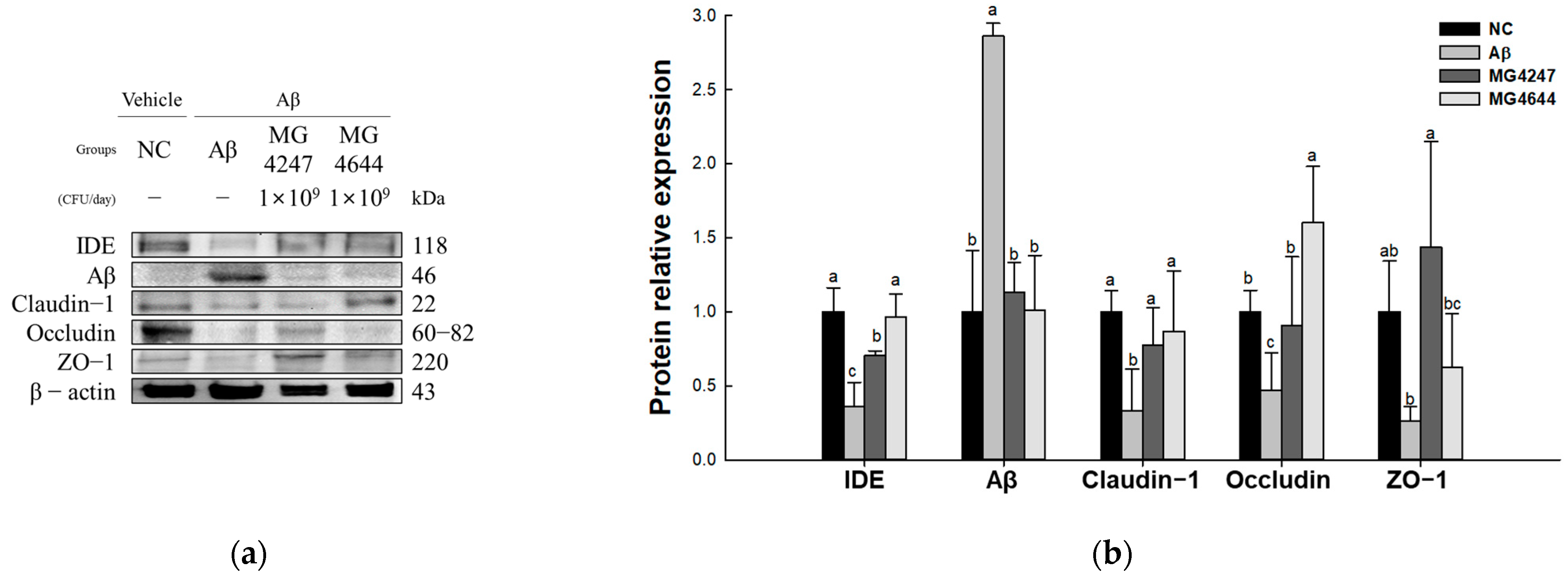 Antioxidants 14 00139 g005