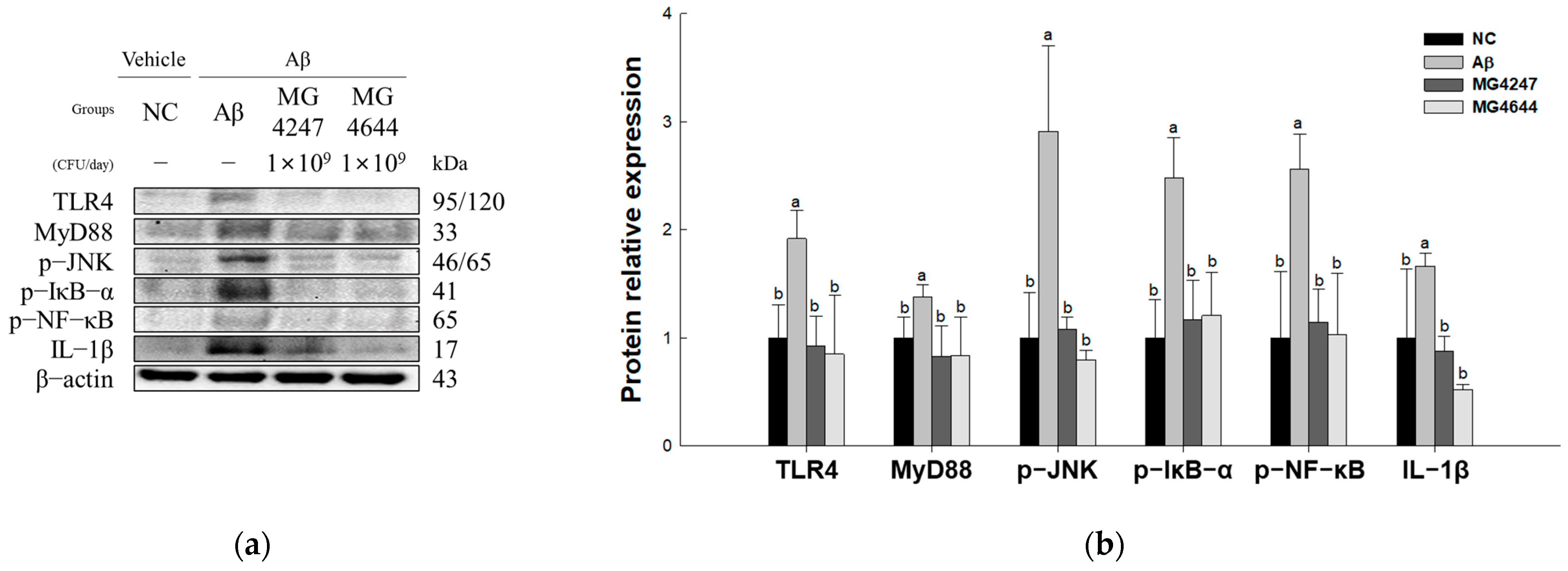 Antioxidants 14 00139 g006