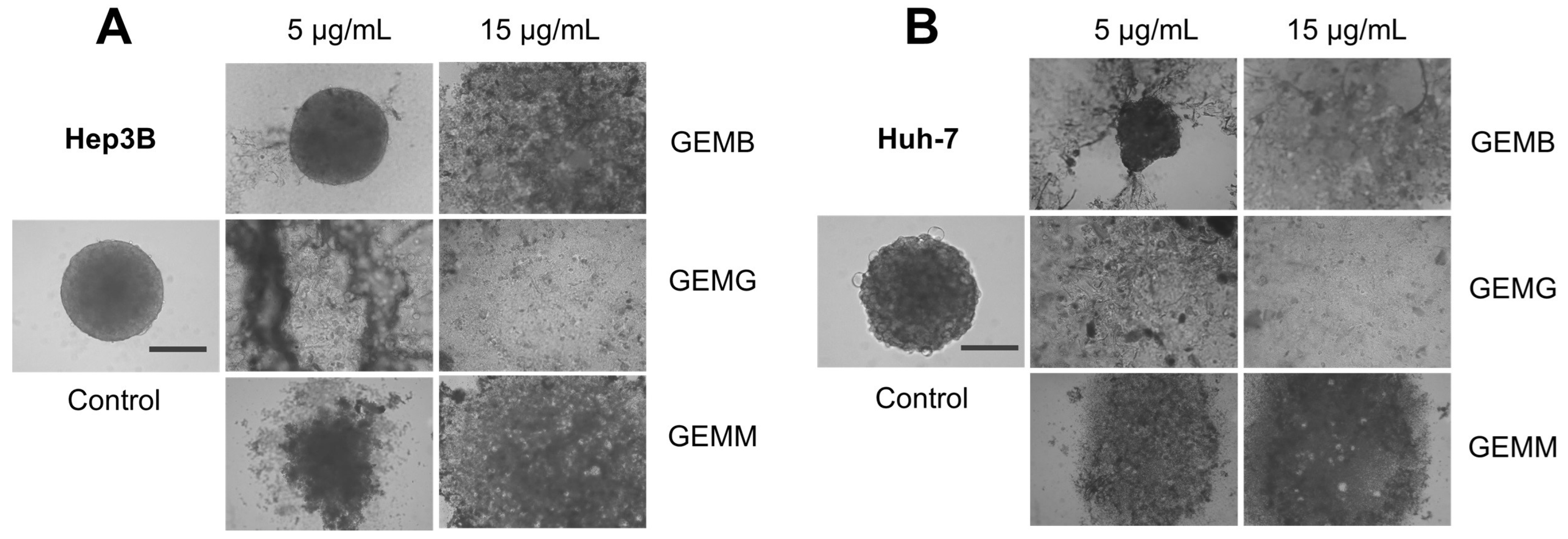 Antioxidants 14 00141 g007