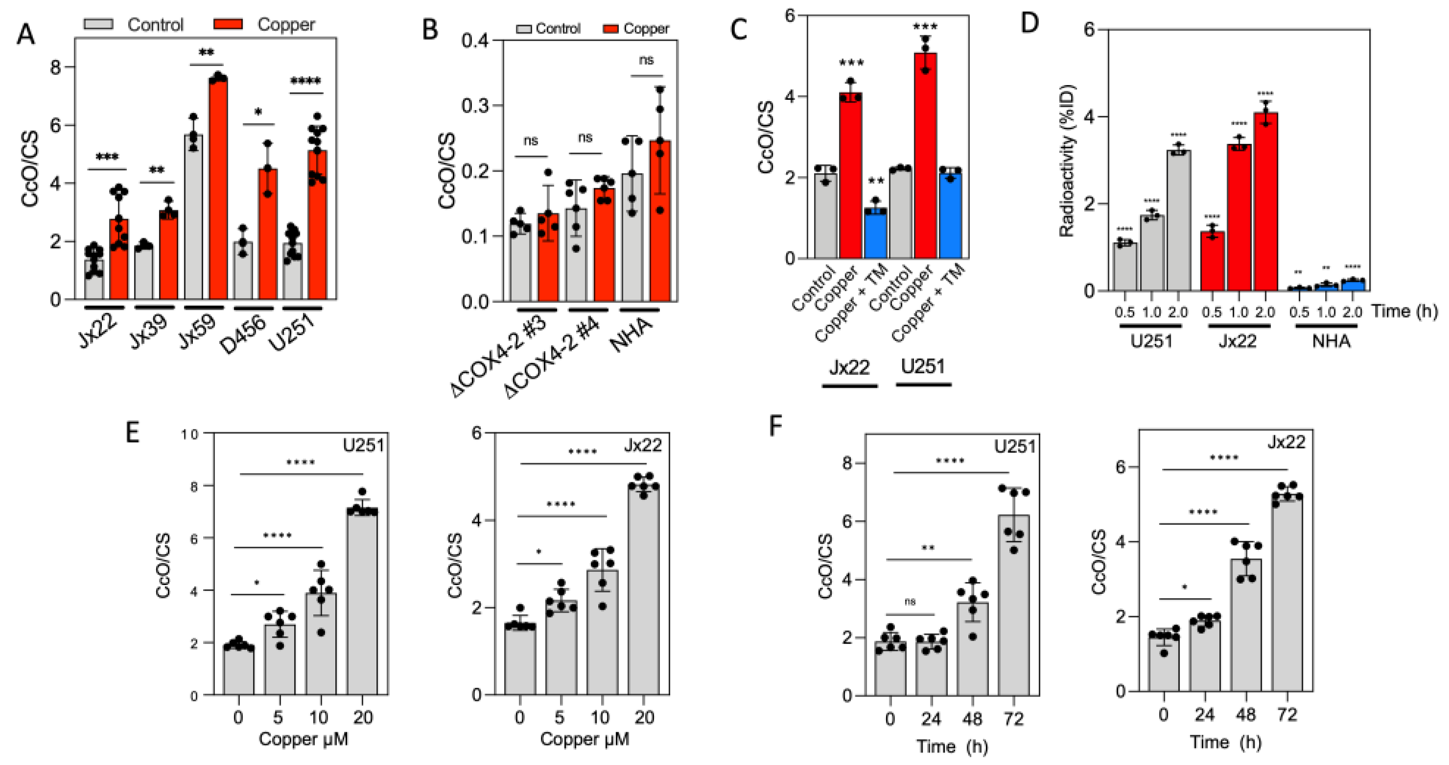 Antioxidants 14 00142 g001