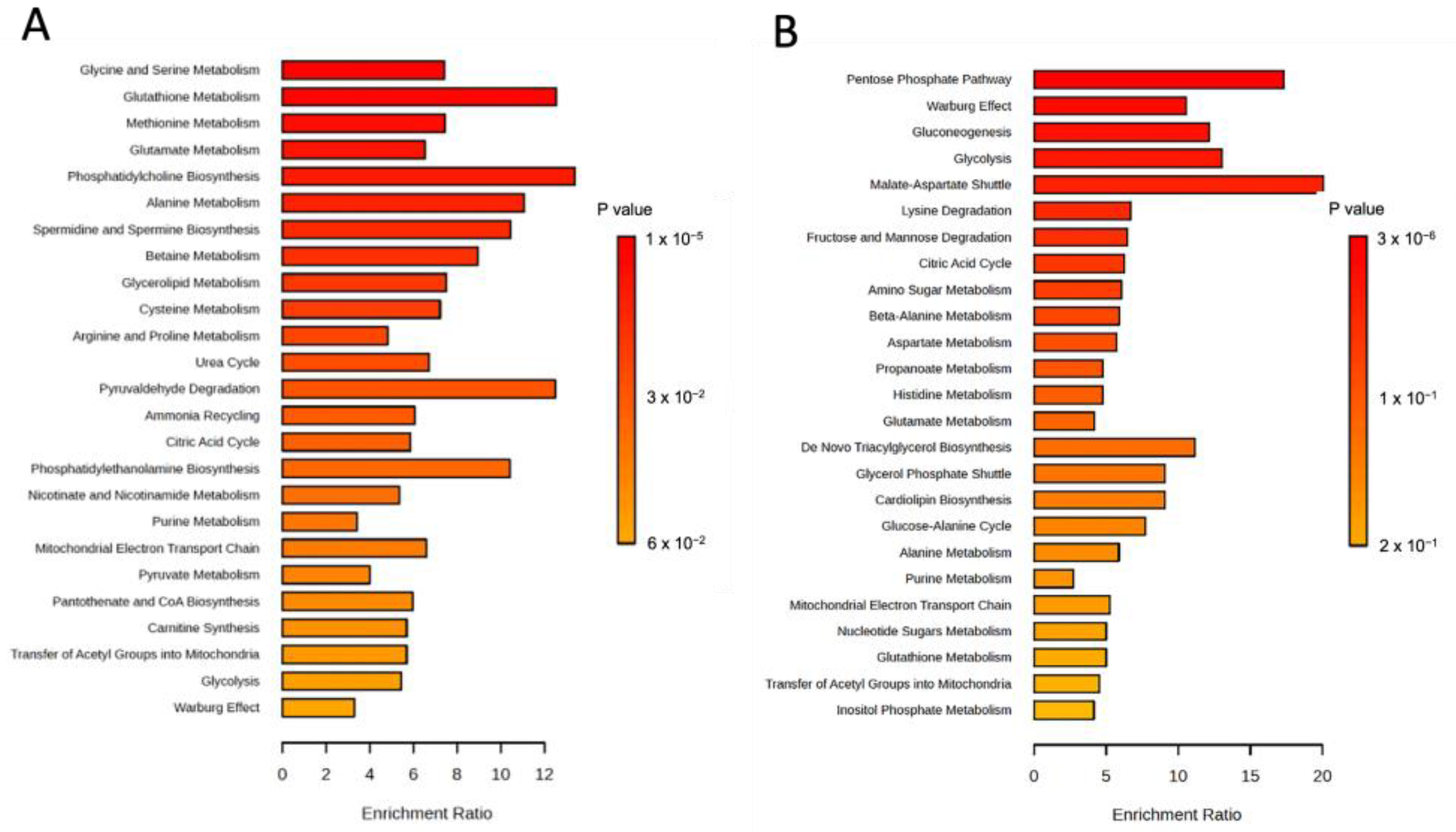 Antioxidants 14 00142 g005