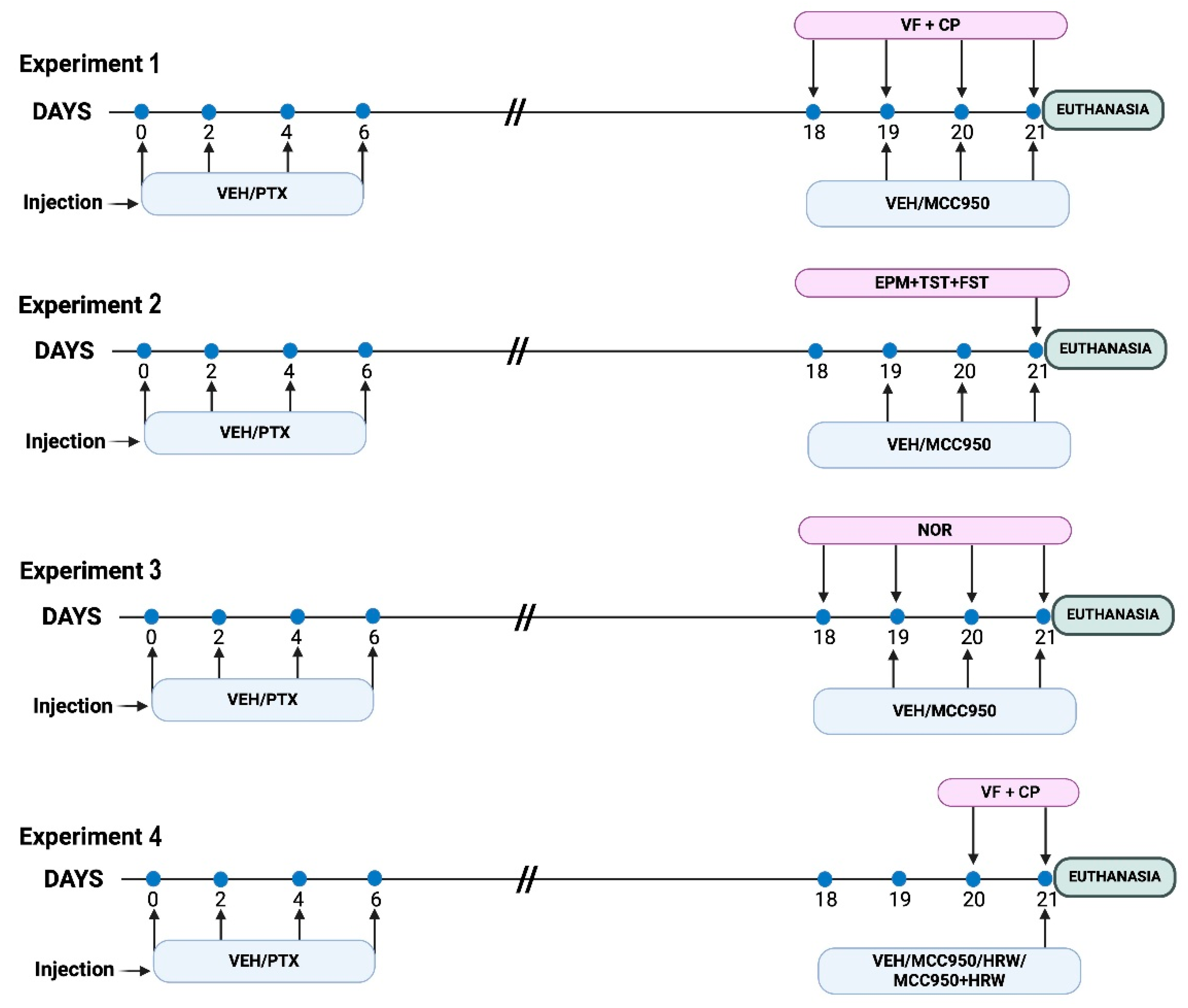 Antioxidants 14 00143 g001