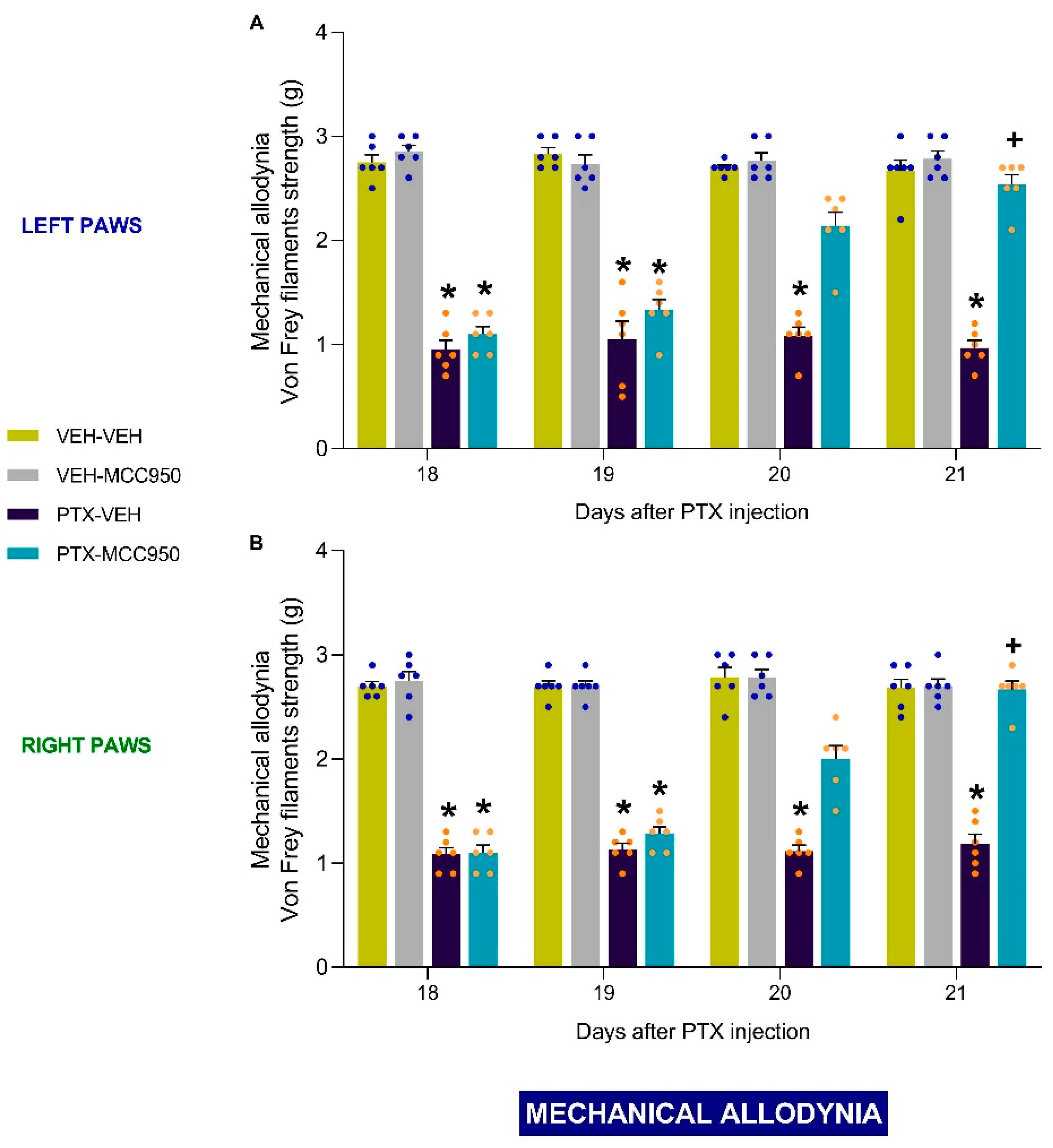 Antioxidants 14 00143 g002