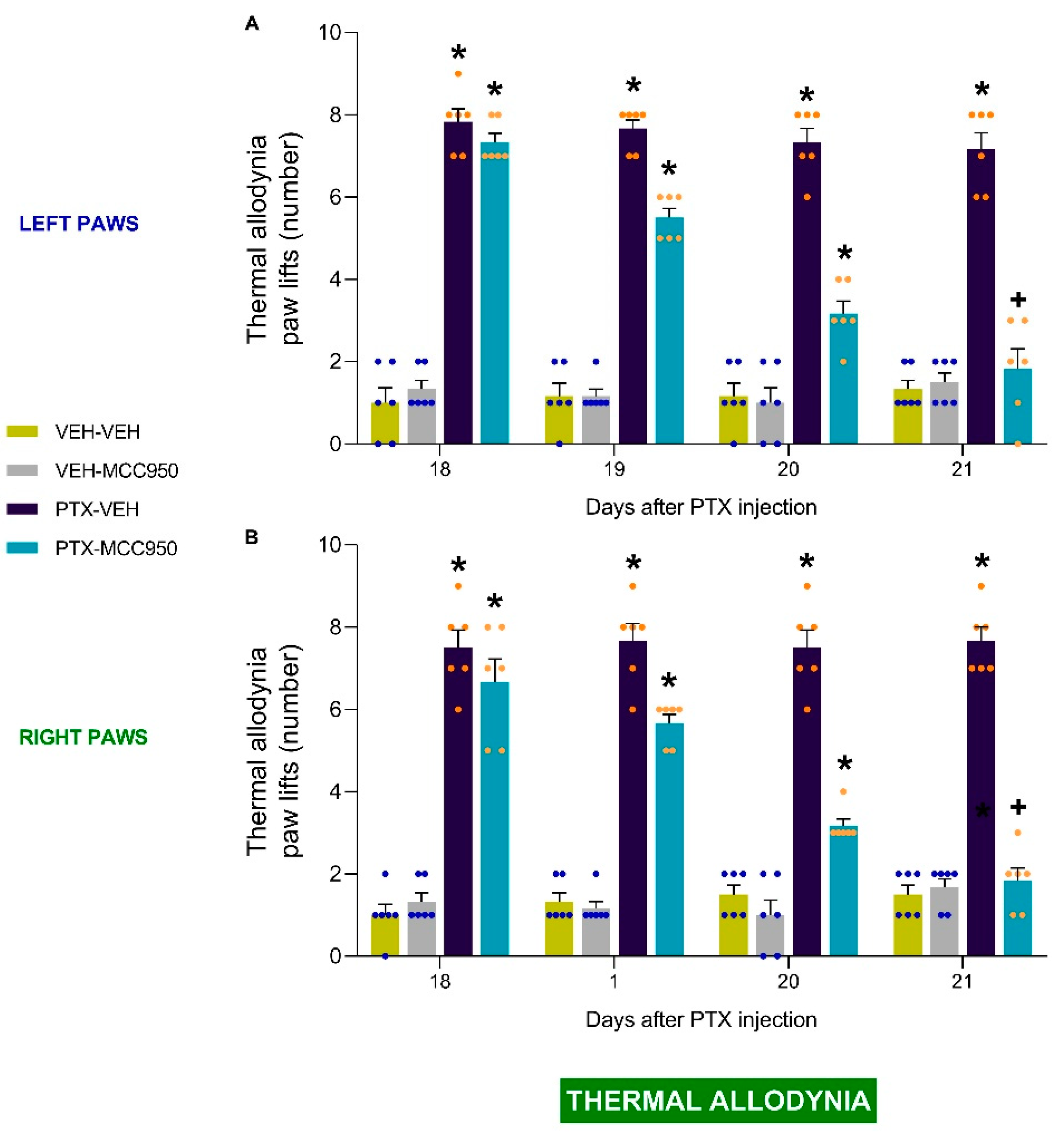 Antioxidants 14 00143 g003