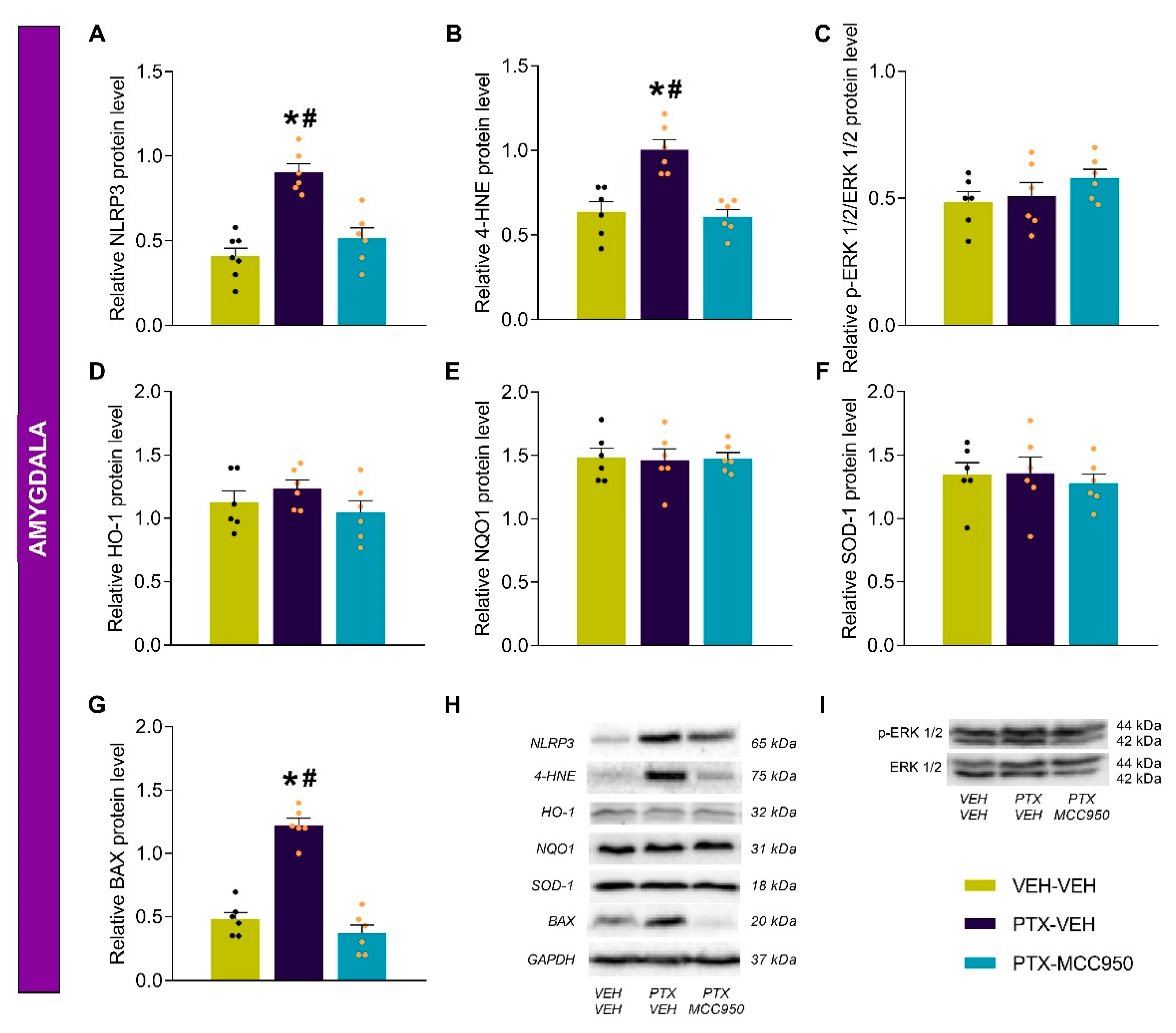 Antioxidants 14 00143 g006