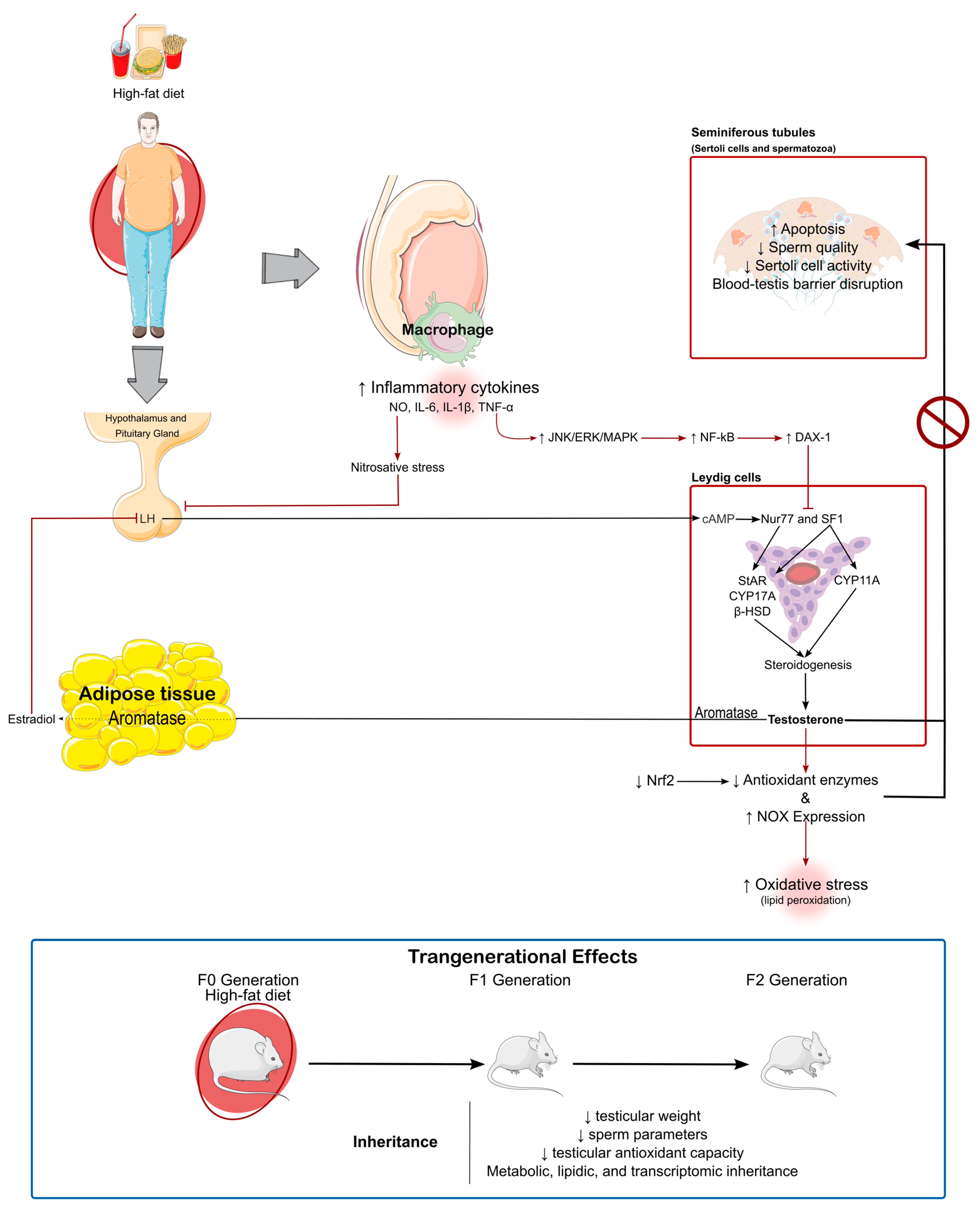 Antioxidants 14 00150 g002