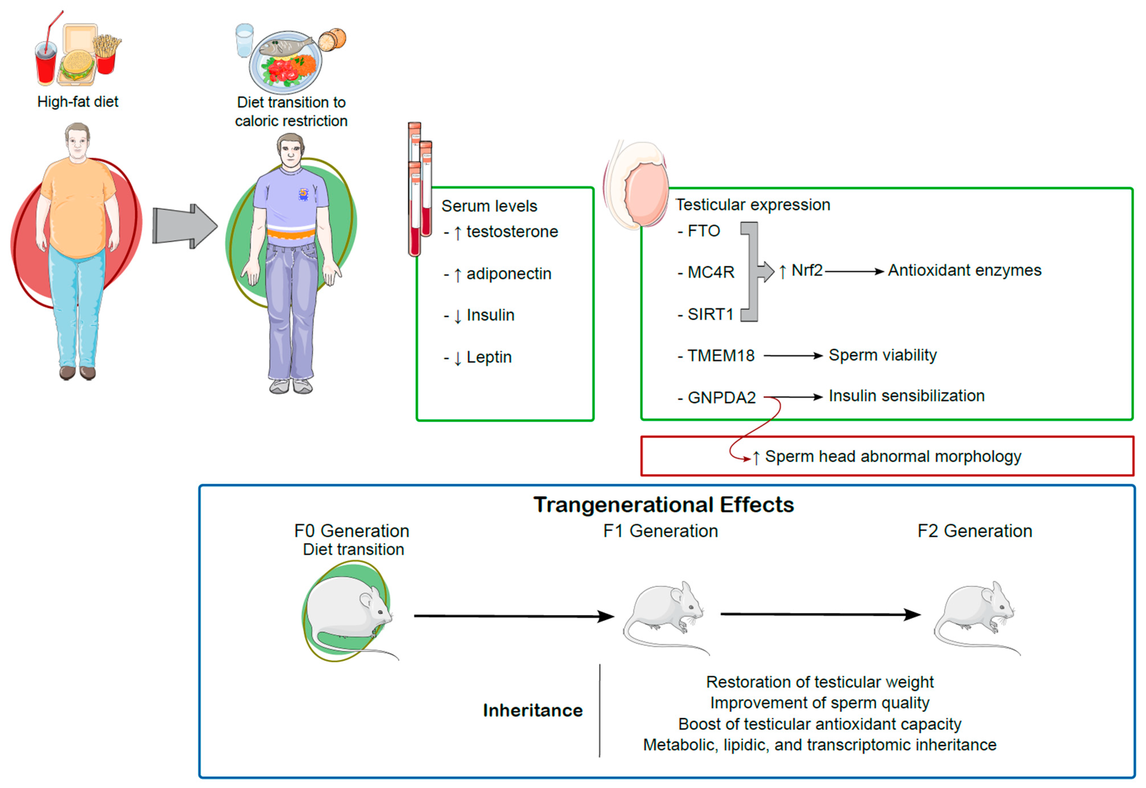 Antioxidants 14 00150 g003