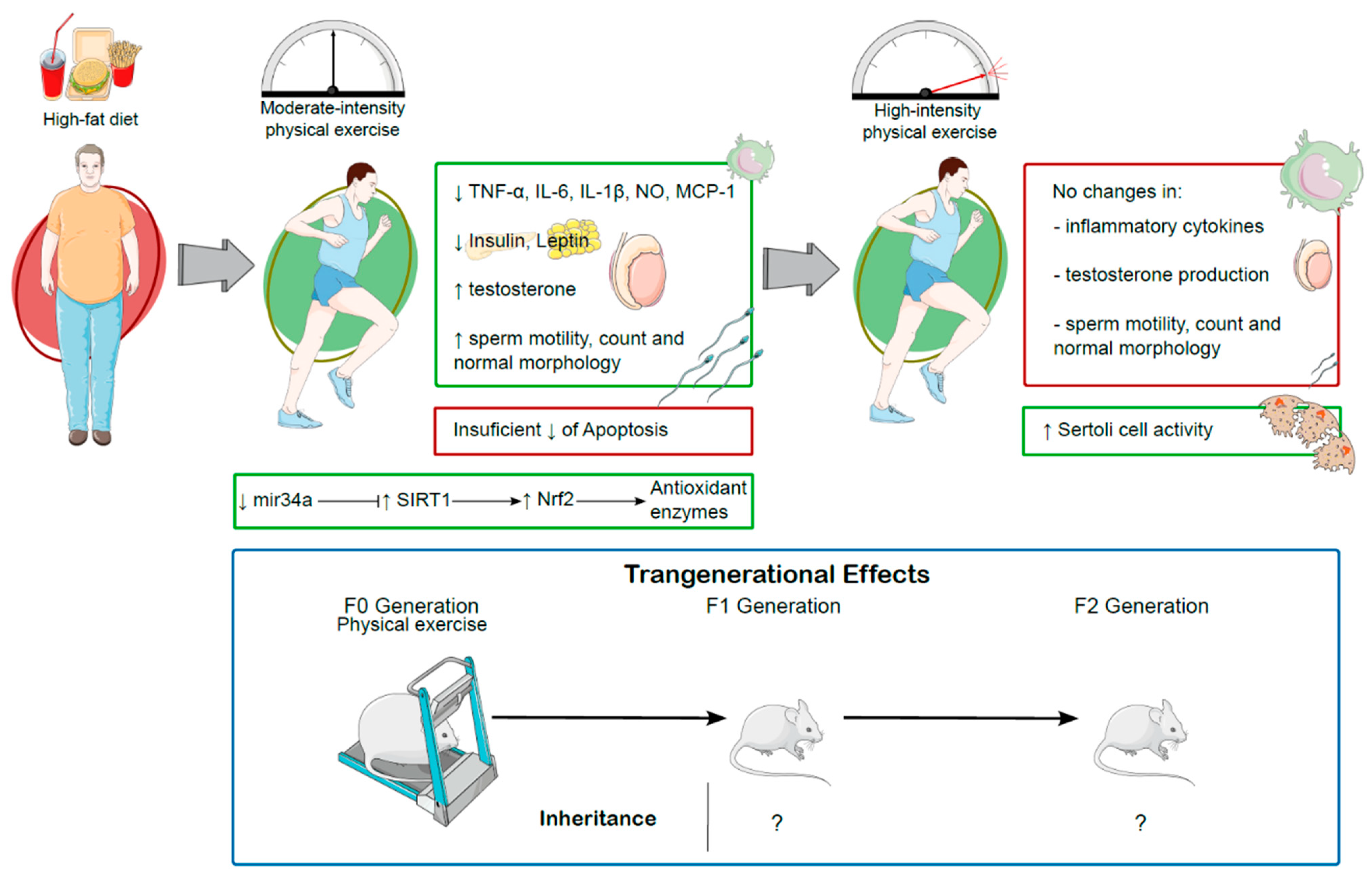 Antioxidants 14 00150 g004