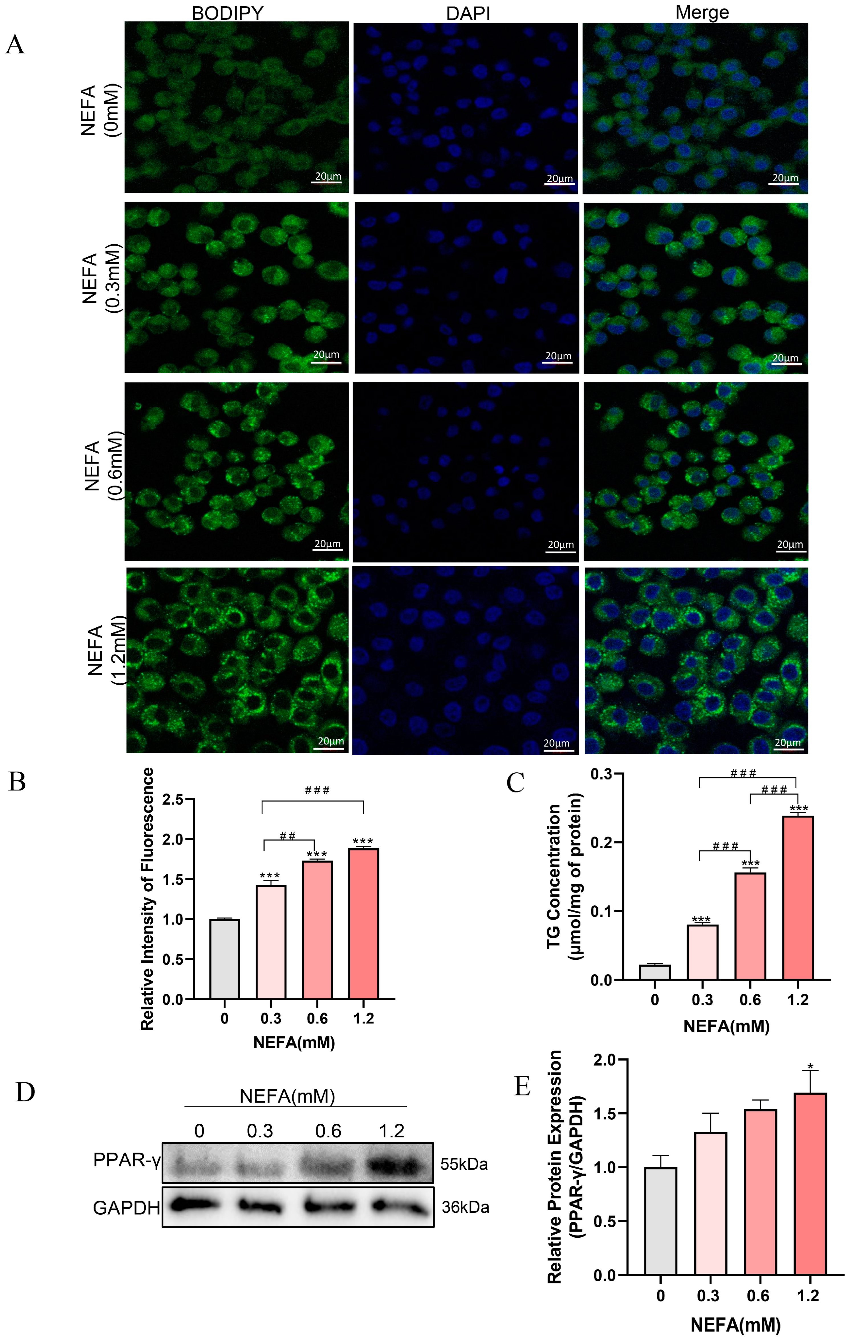 Antioxidants 14 00156 g002