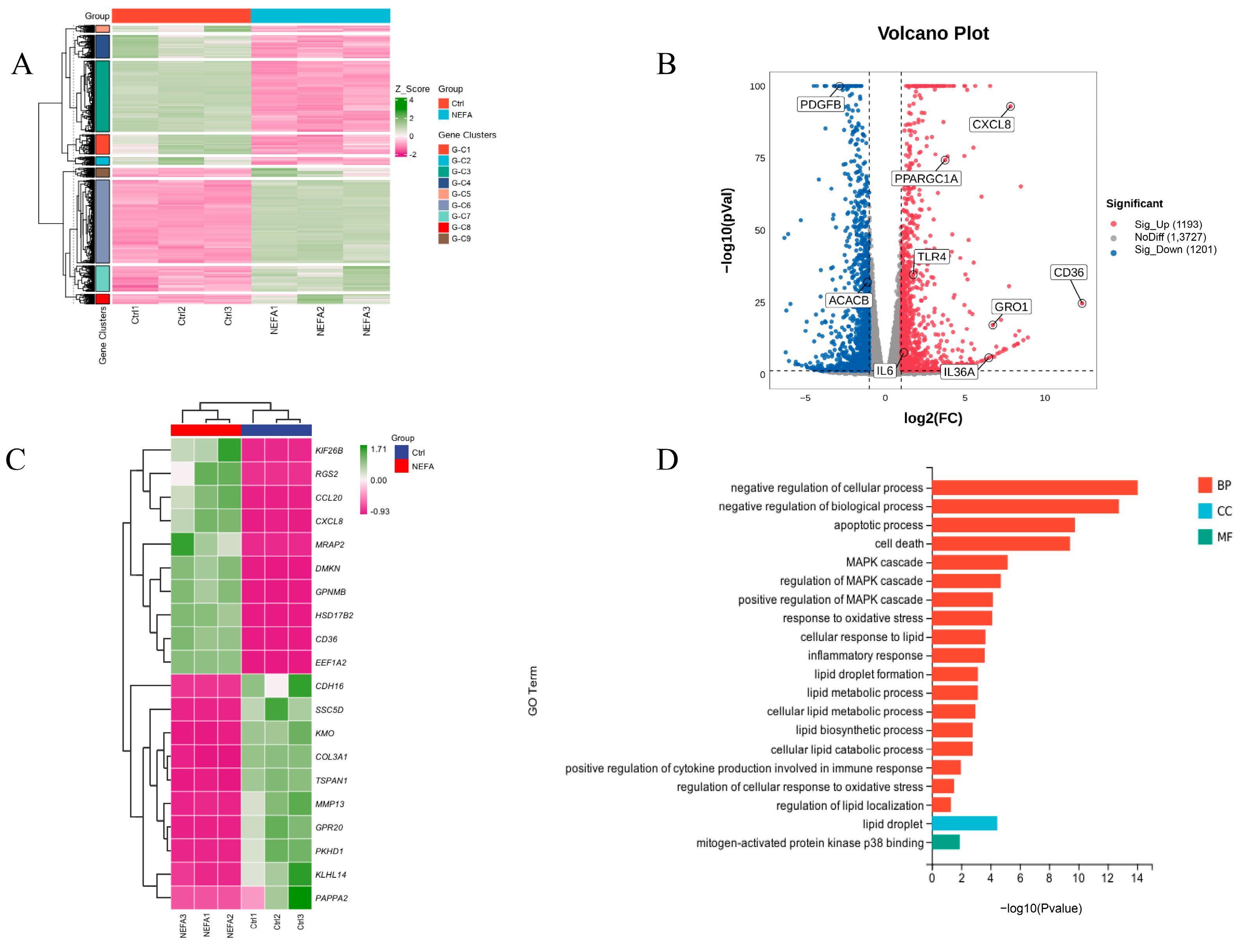 Antioxidants 14 00156 g004a