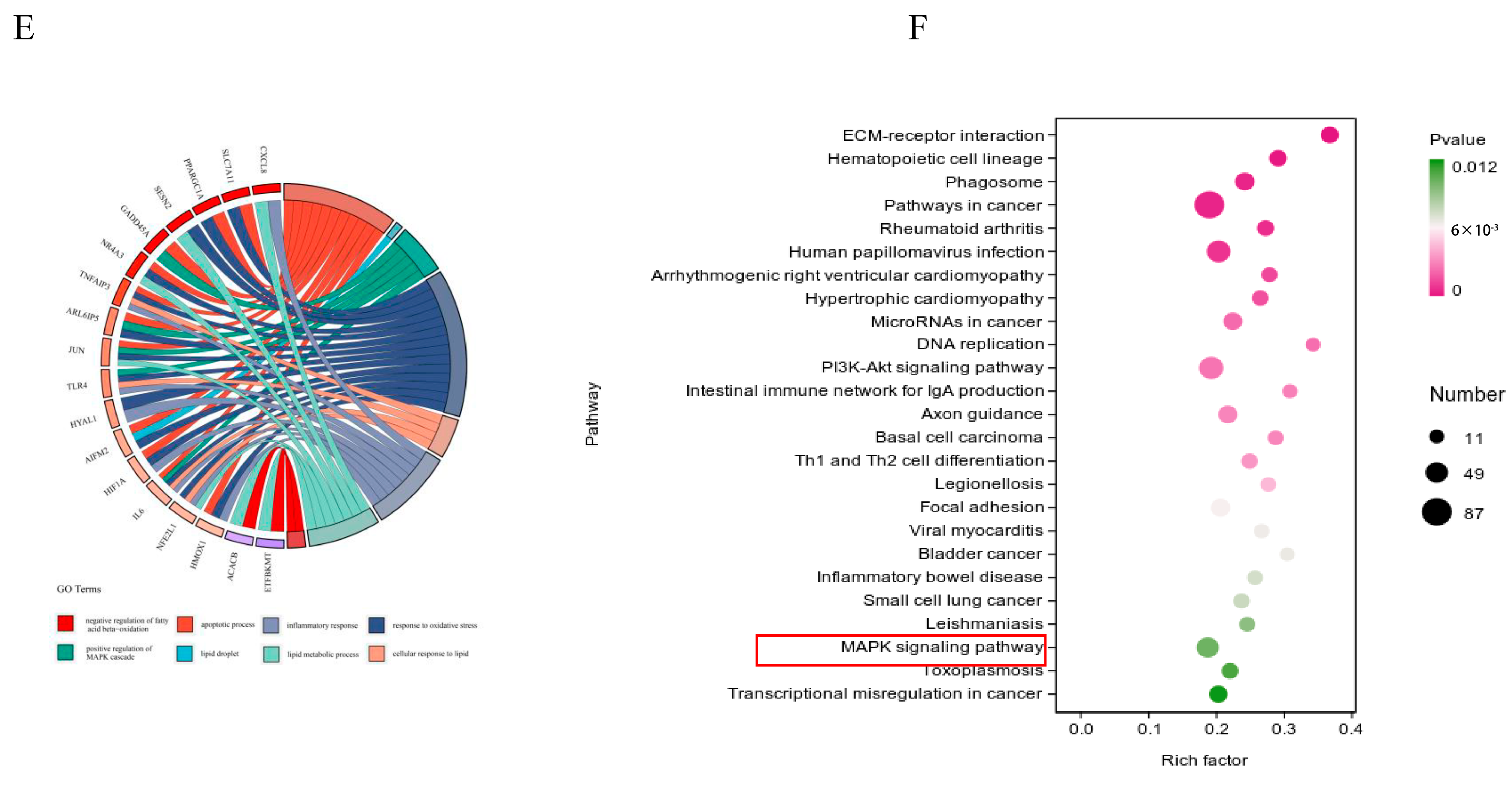 Antioxidants 14 00156 g004b