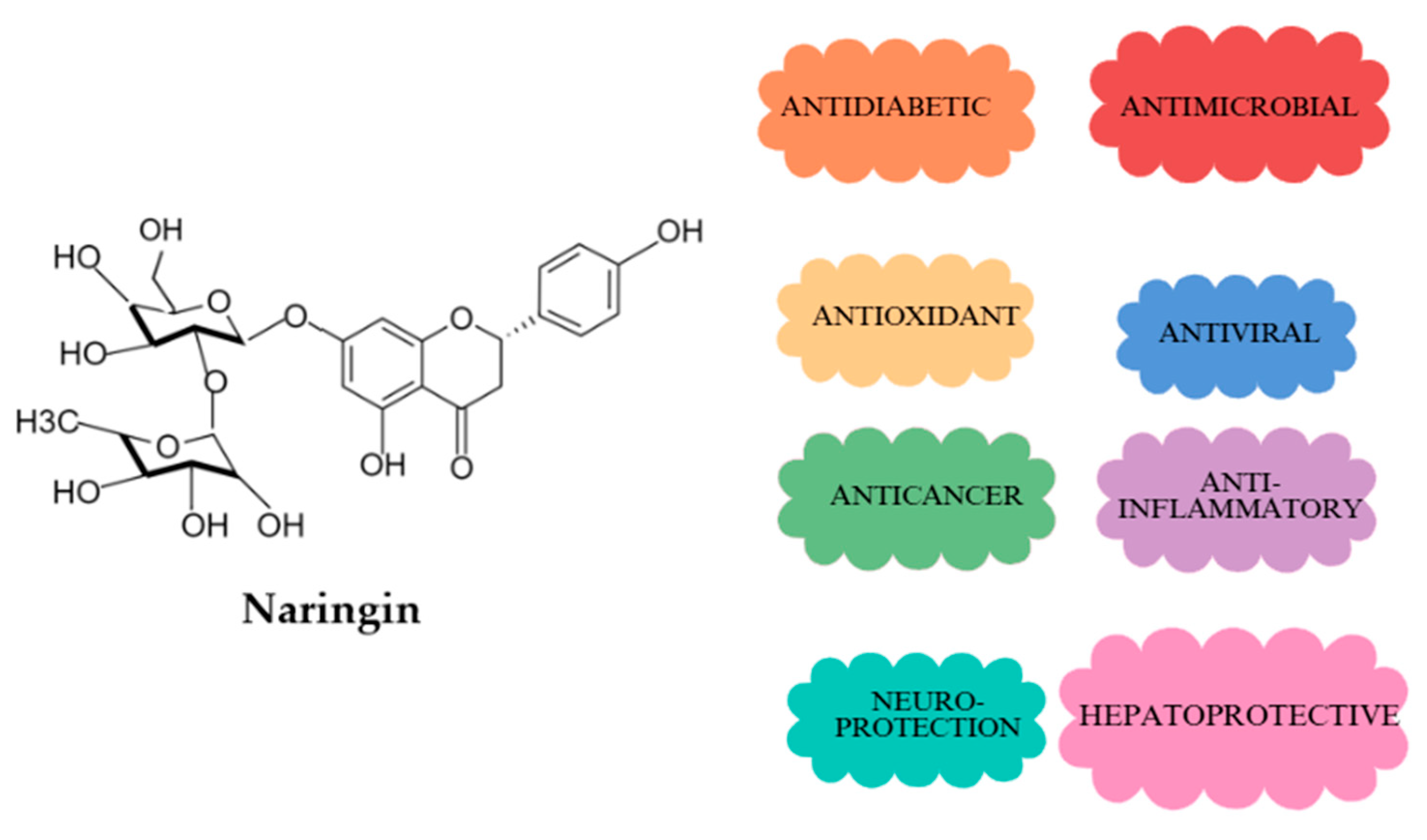 Antioxidants 14 00157 g001