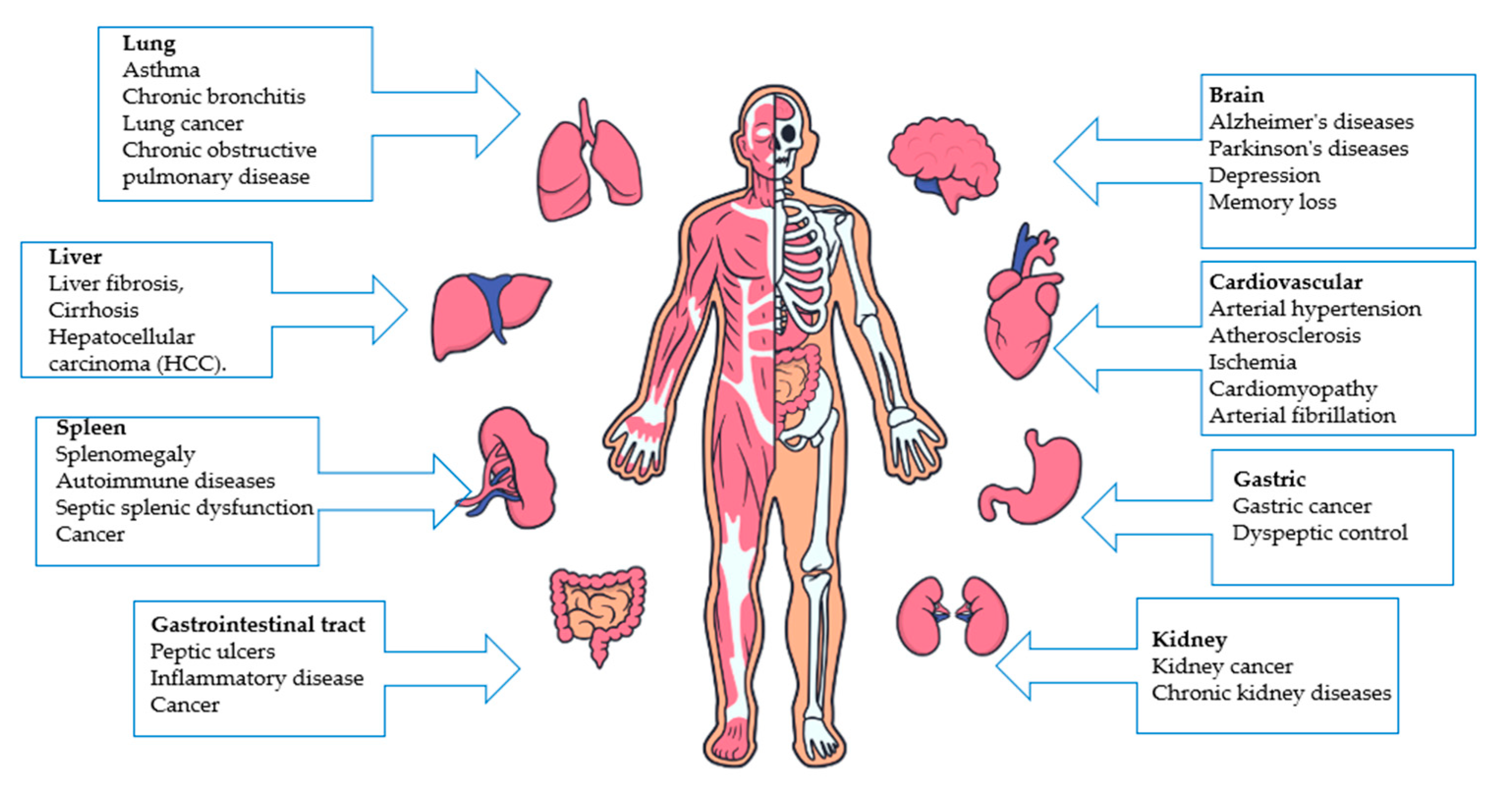 Antioxidants 14 00157 g003