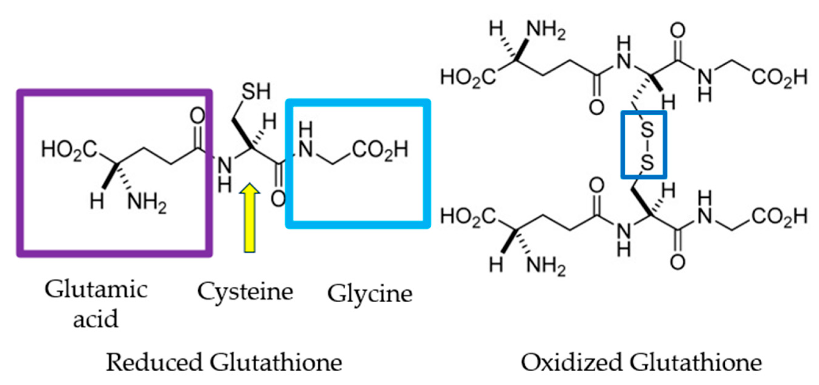 Antioxidants 14 00157 g006