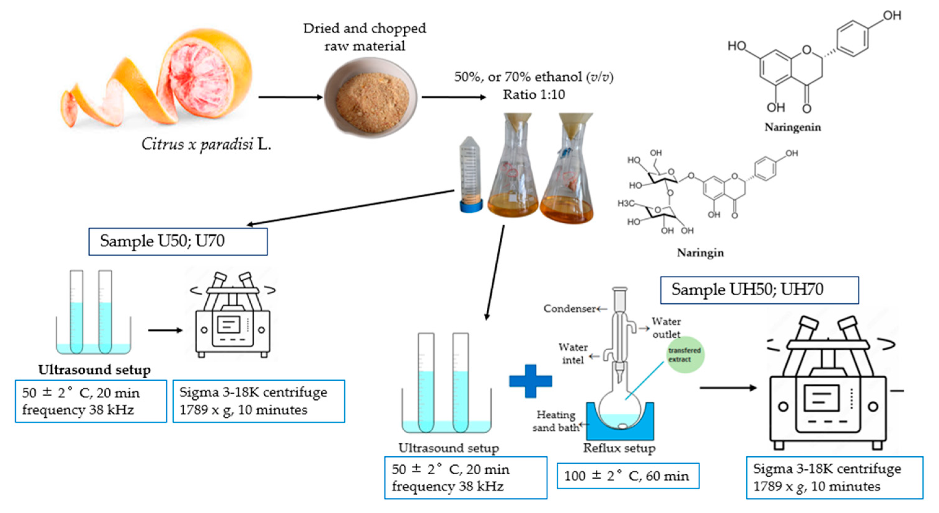 Antioxidants 14 00157 g016