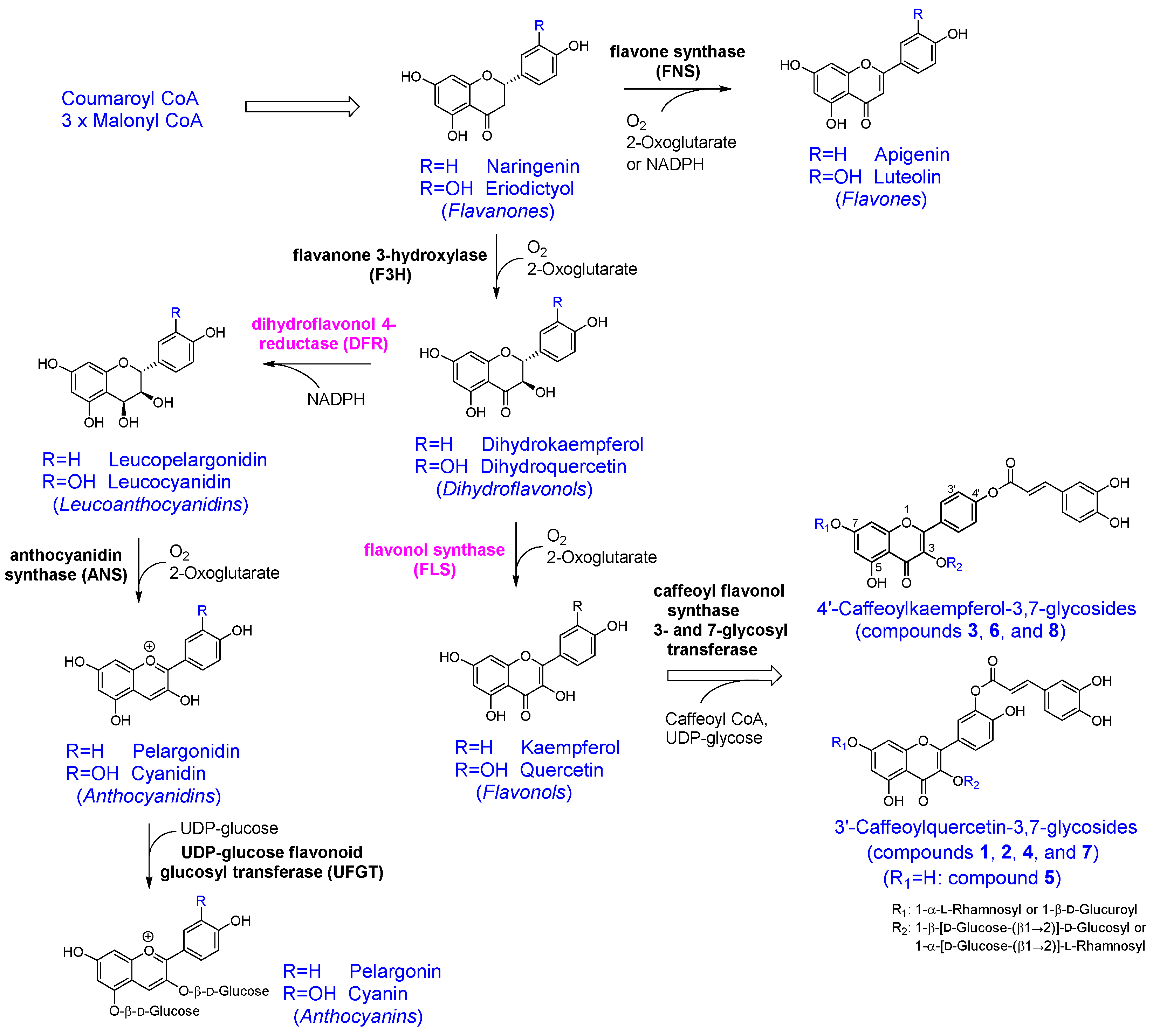 Antioxidants 14 00158 g003