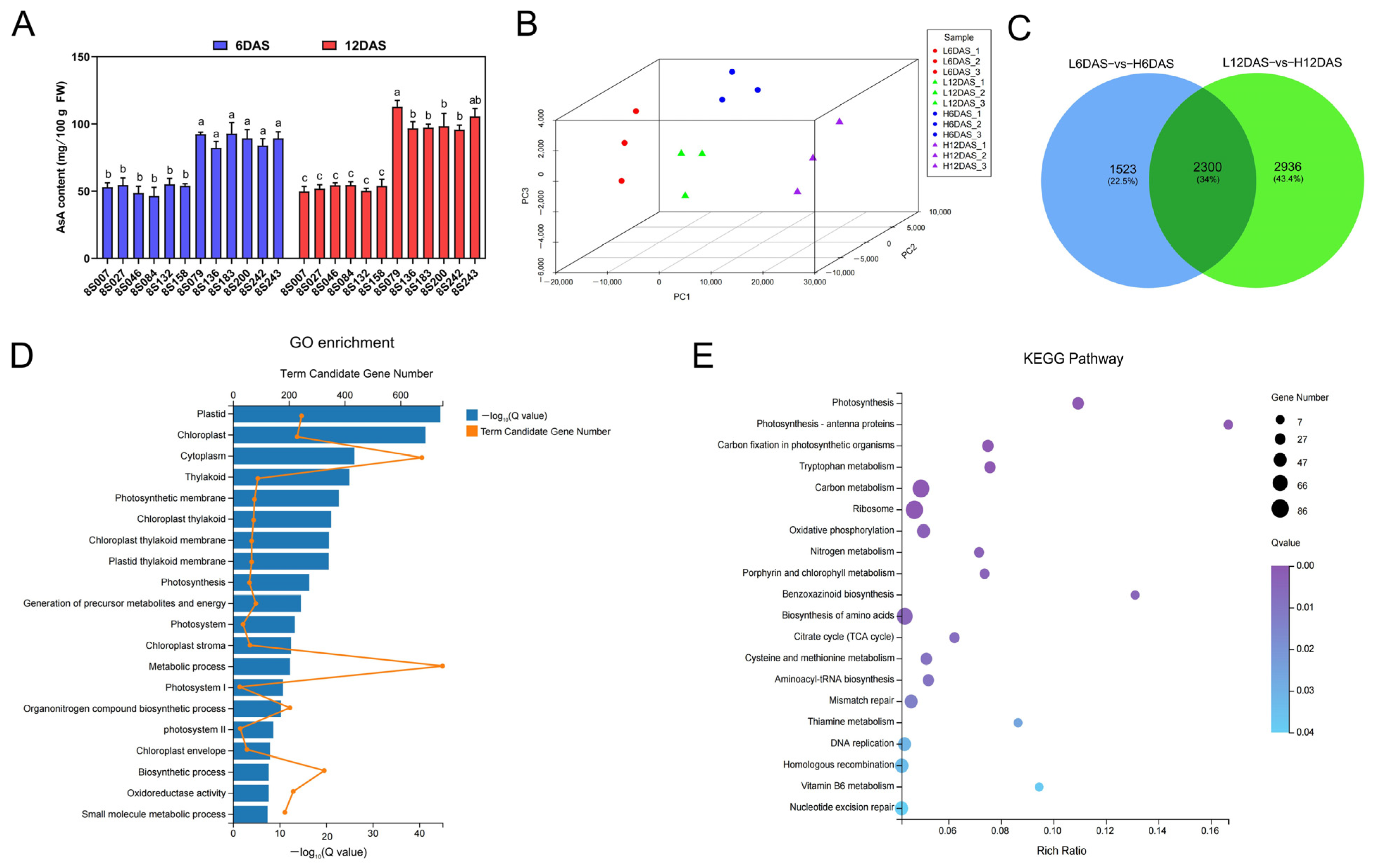Antioxidants 14 00160 g001