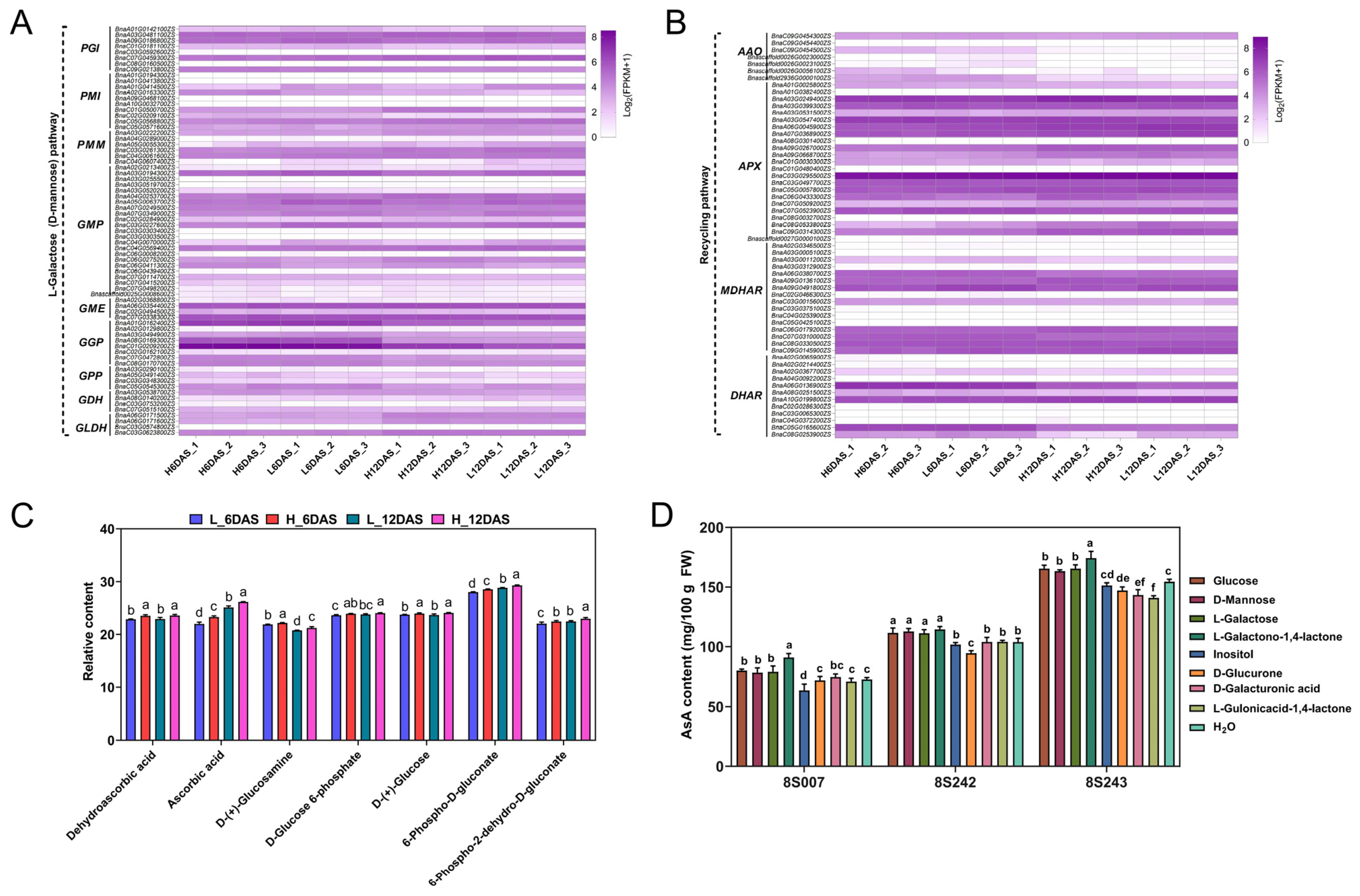 Antioxidants 14 00160 g003