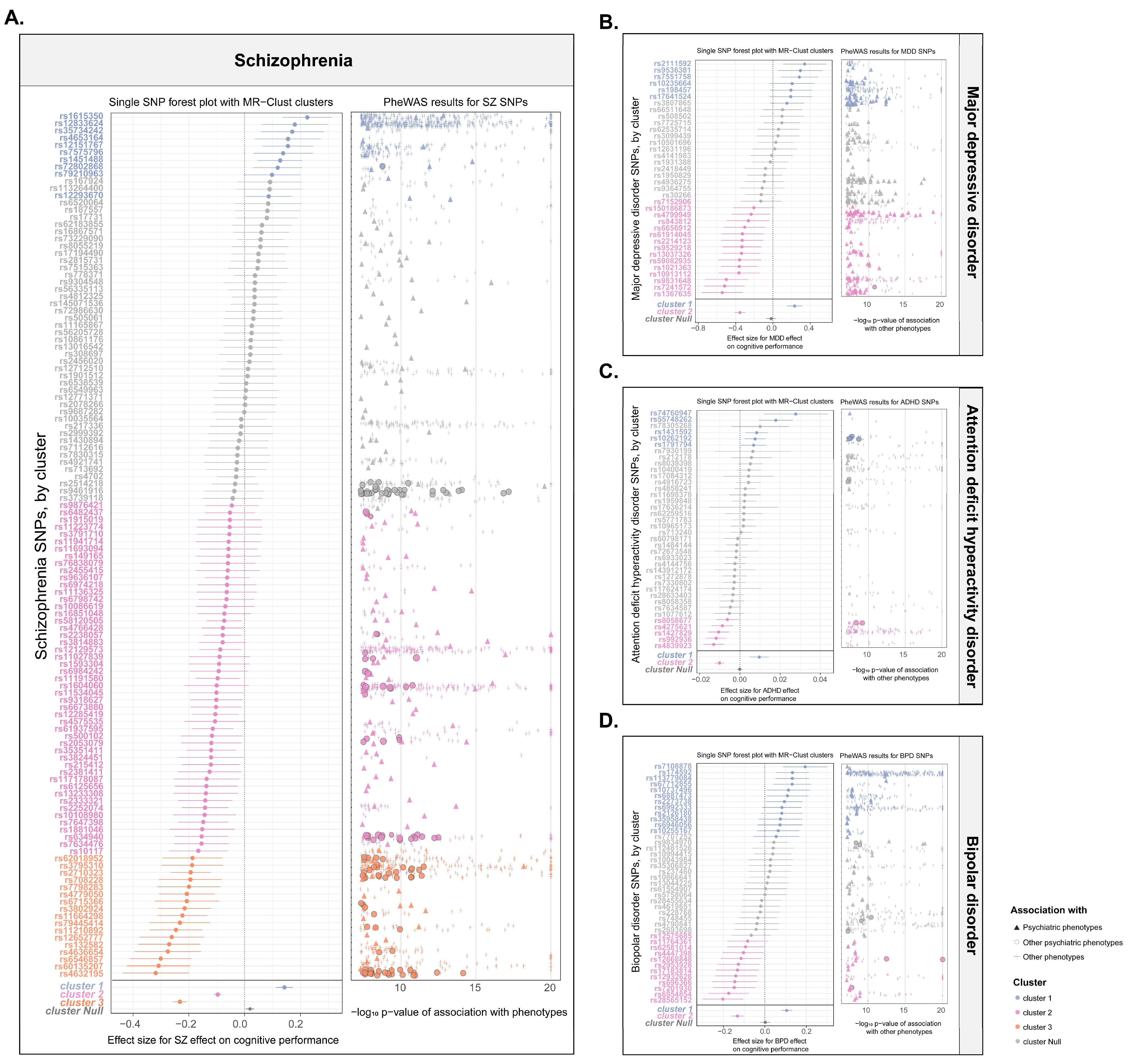 Antioxidants 14 00162 g003
