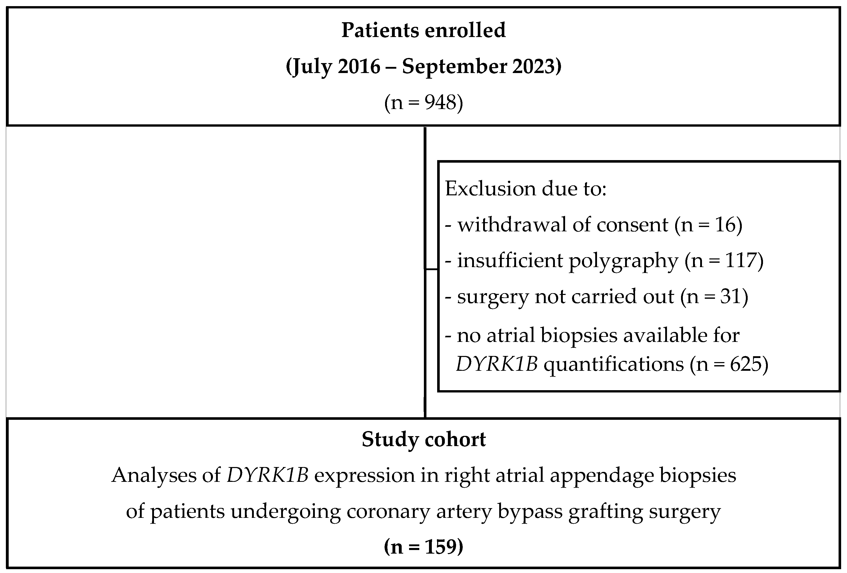 Antioxidants 14 00163 g001