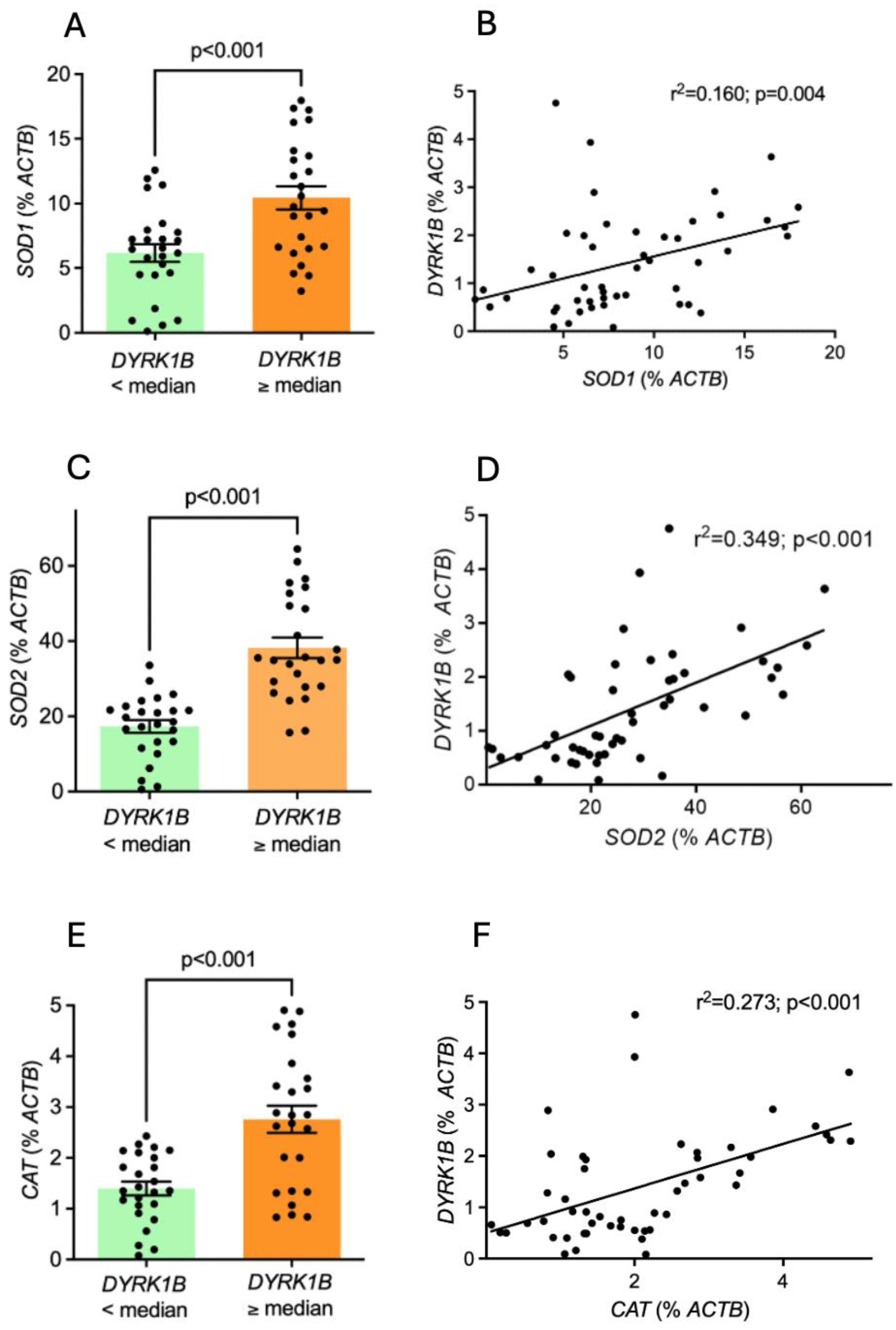 Antioxidants 14 00163 g005