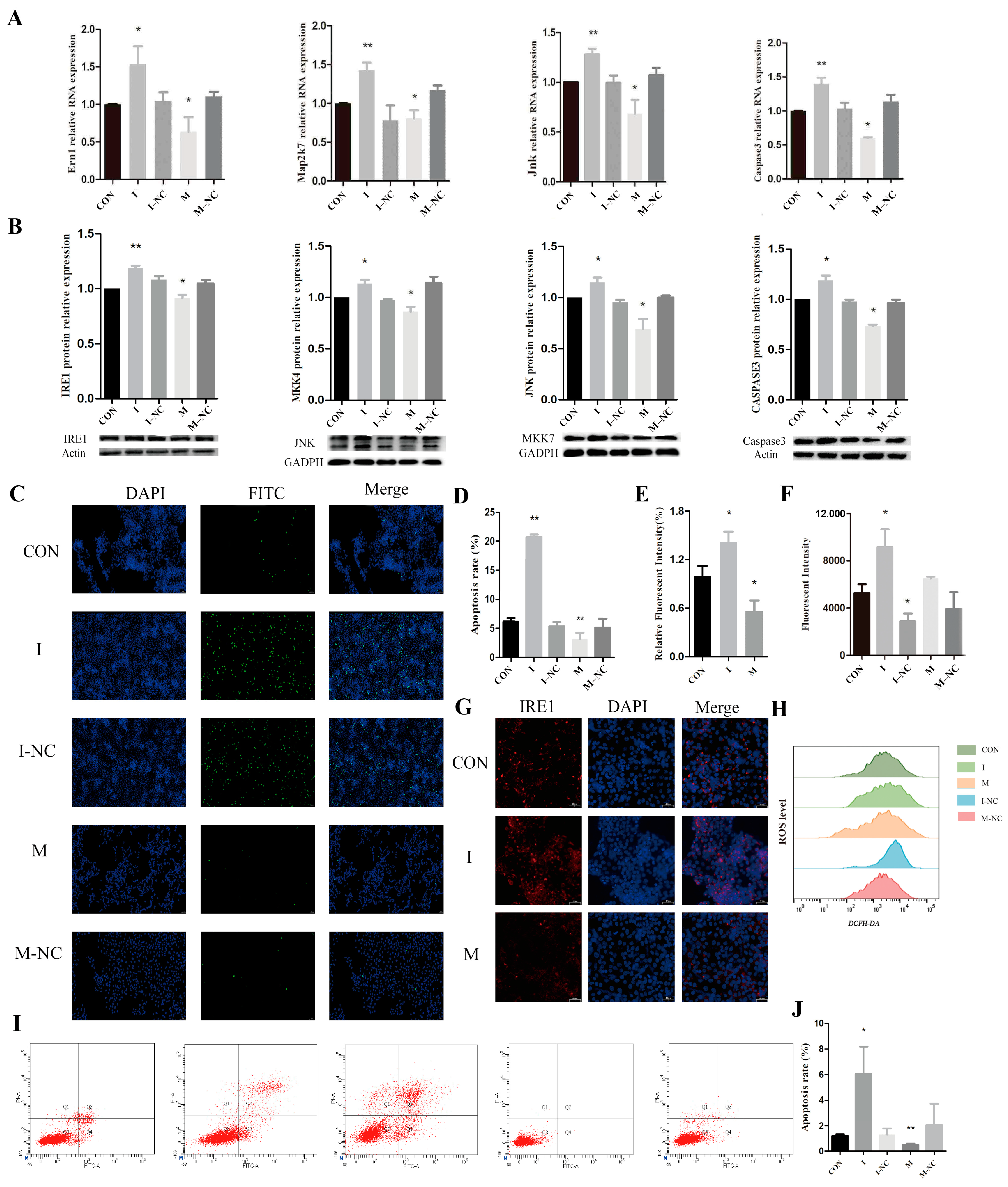 Antioxidants 14 00168 g007