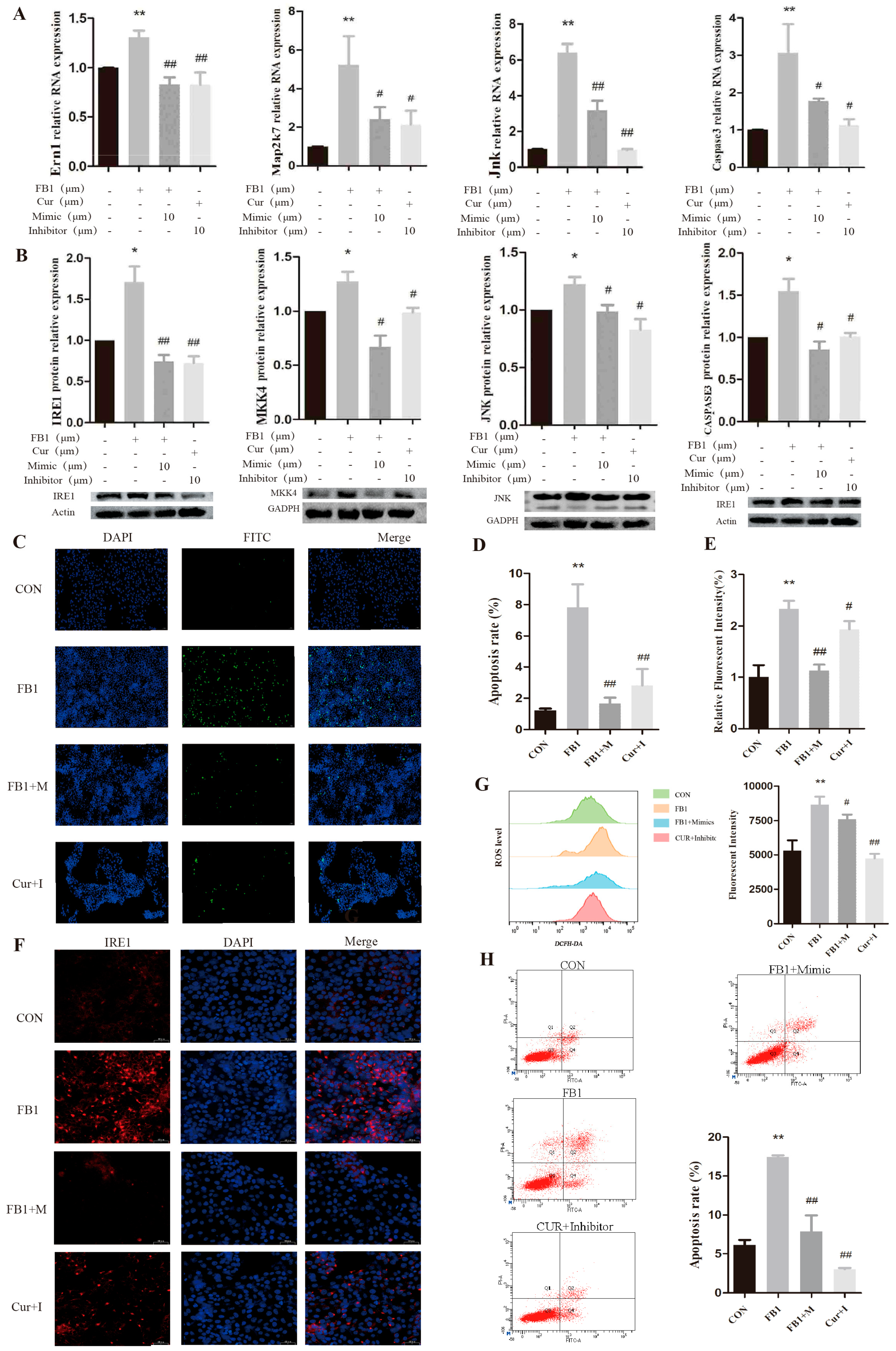Antioxidants 14 00168 g008