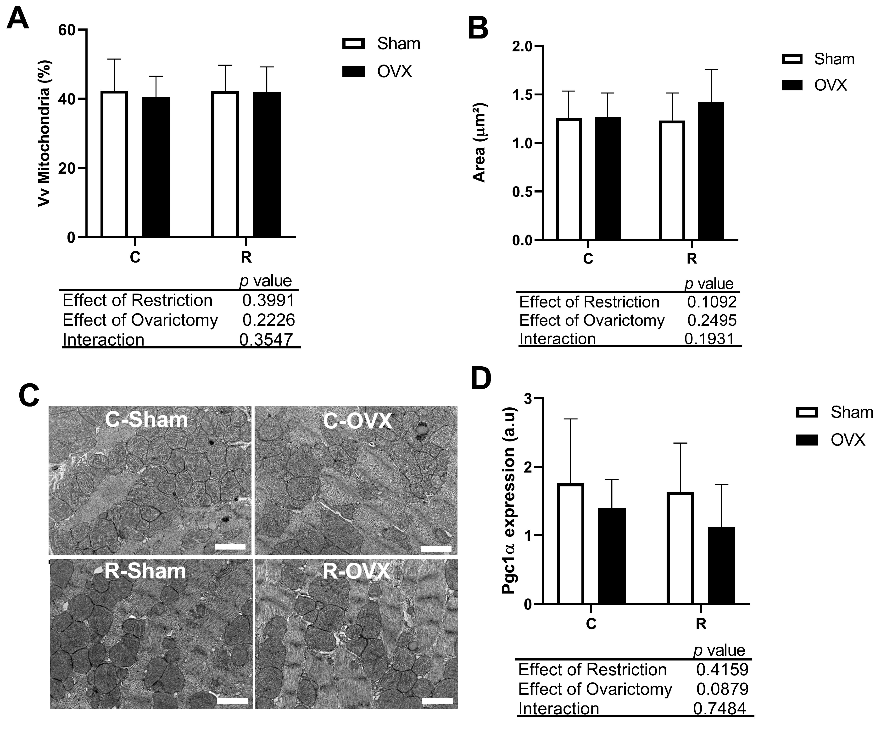 Antioxidants 14 00169 g003