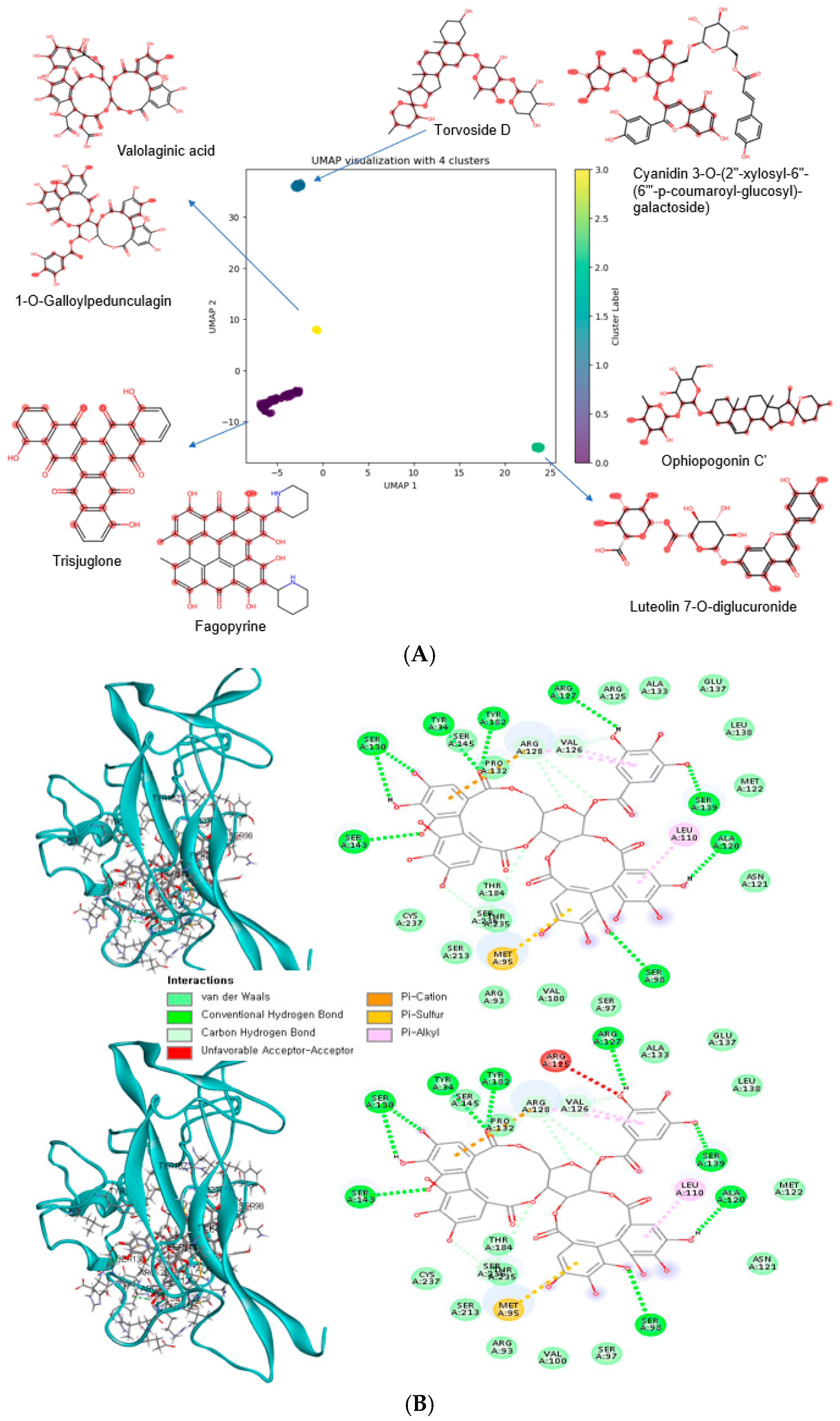 Antioxidants 14 00170 g004a