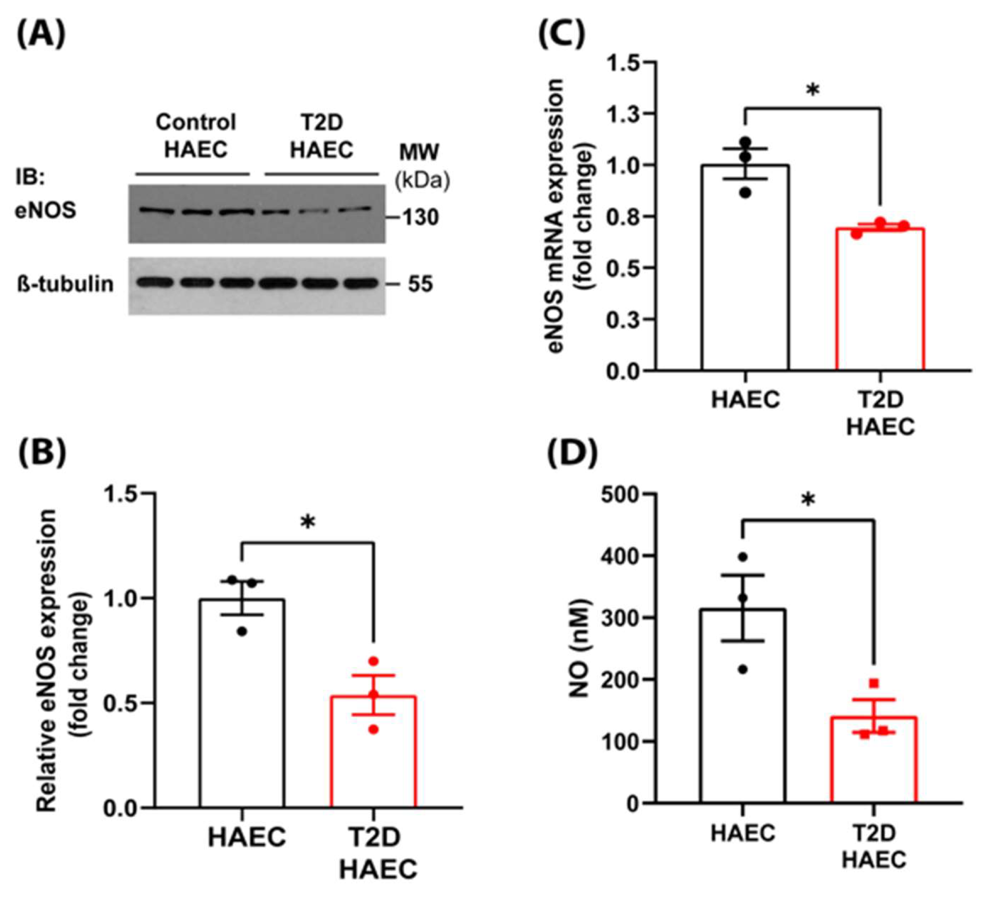 Antioxidants 14 00172 g001