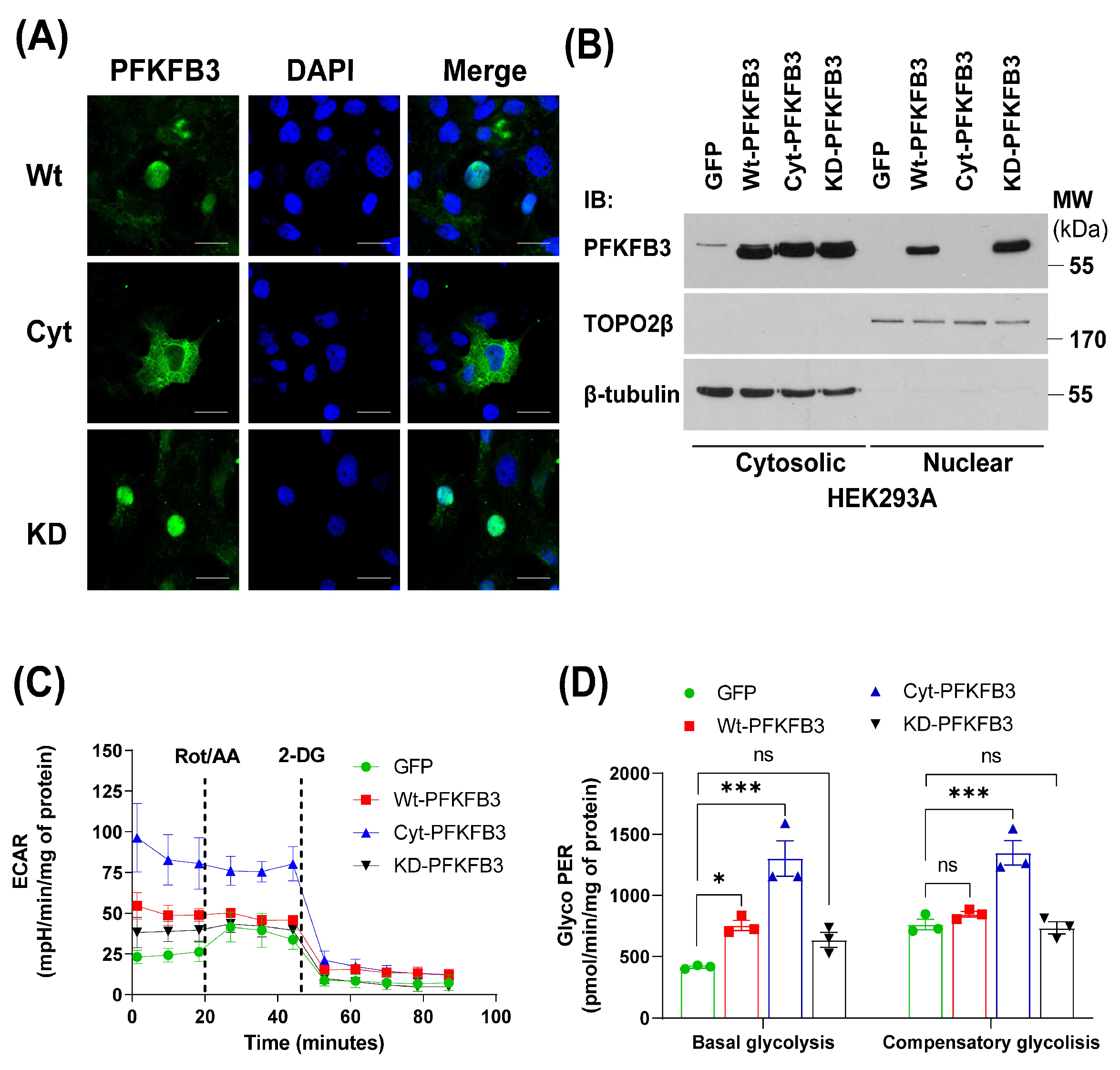 Antioxidants 14 00172 g004