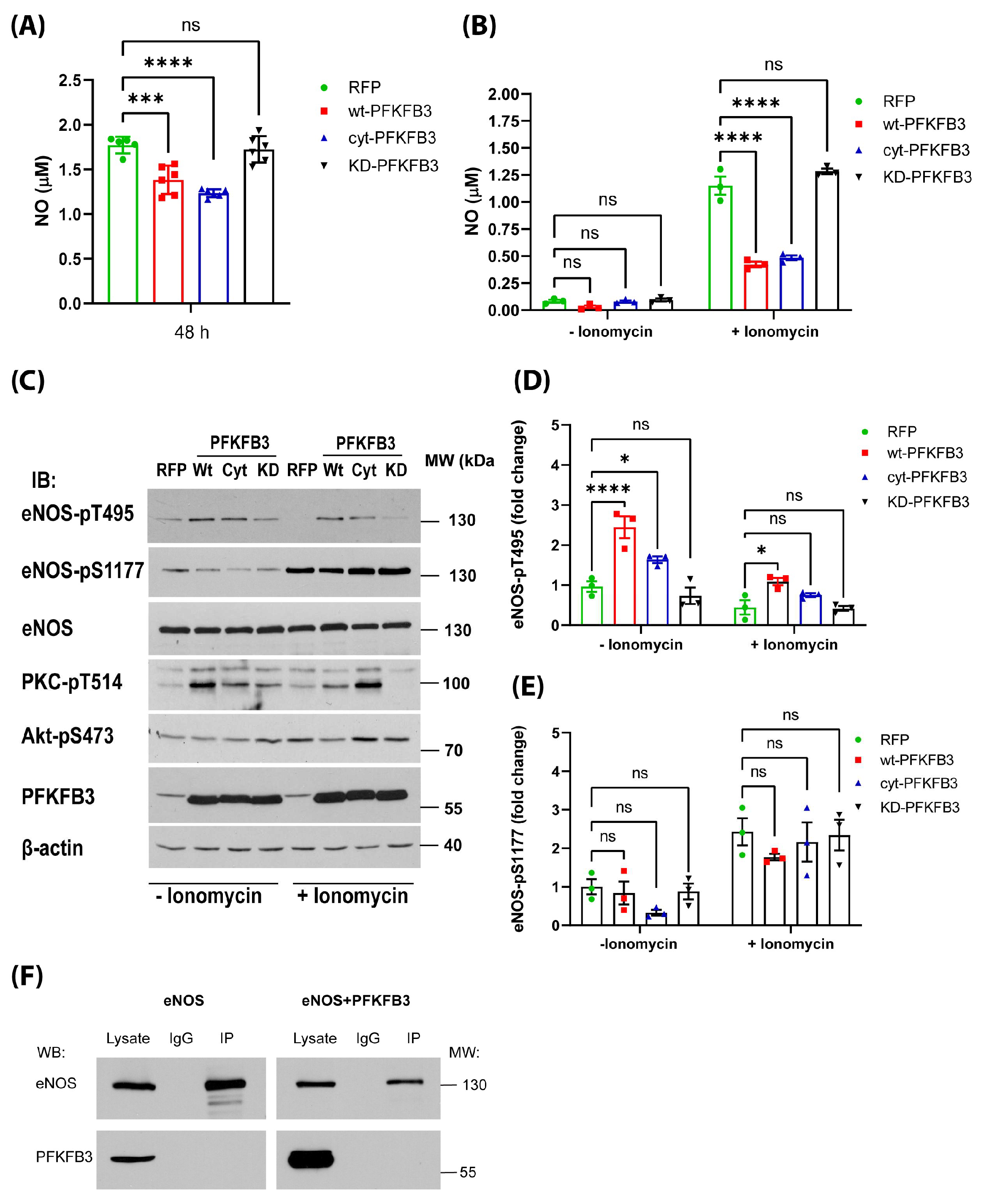 Antioxidants 14 00172 g005